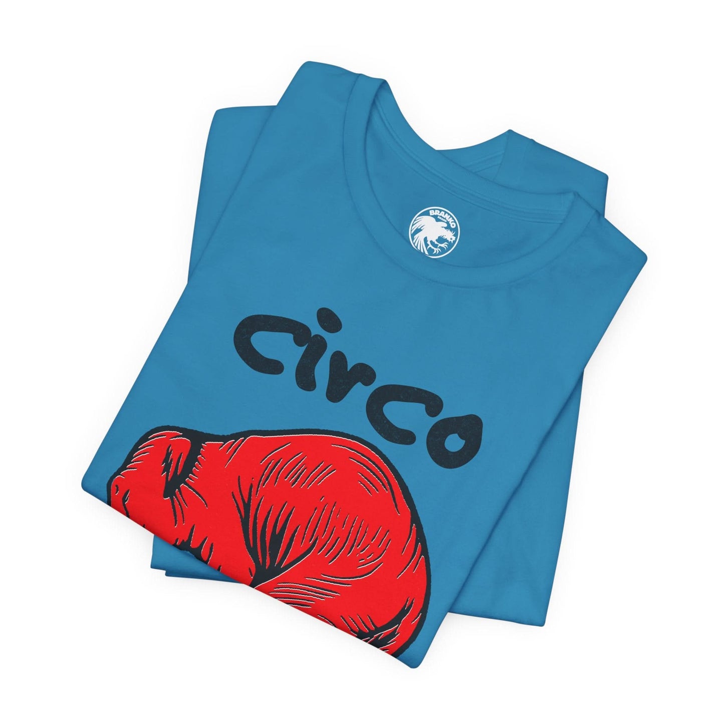 Circo San Juan (San Juan, Puerto Rico Gay Club/1991-2020)