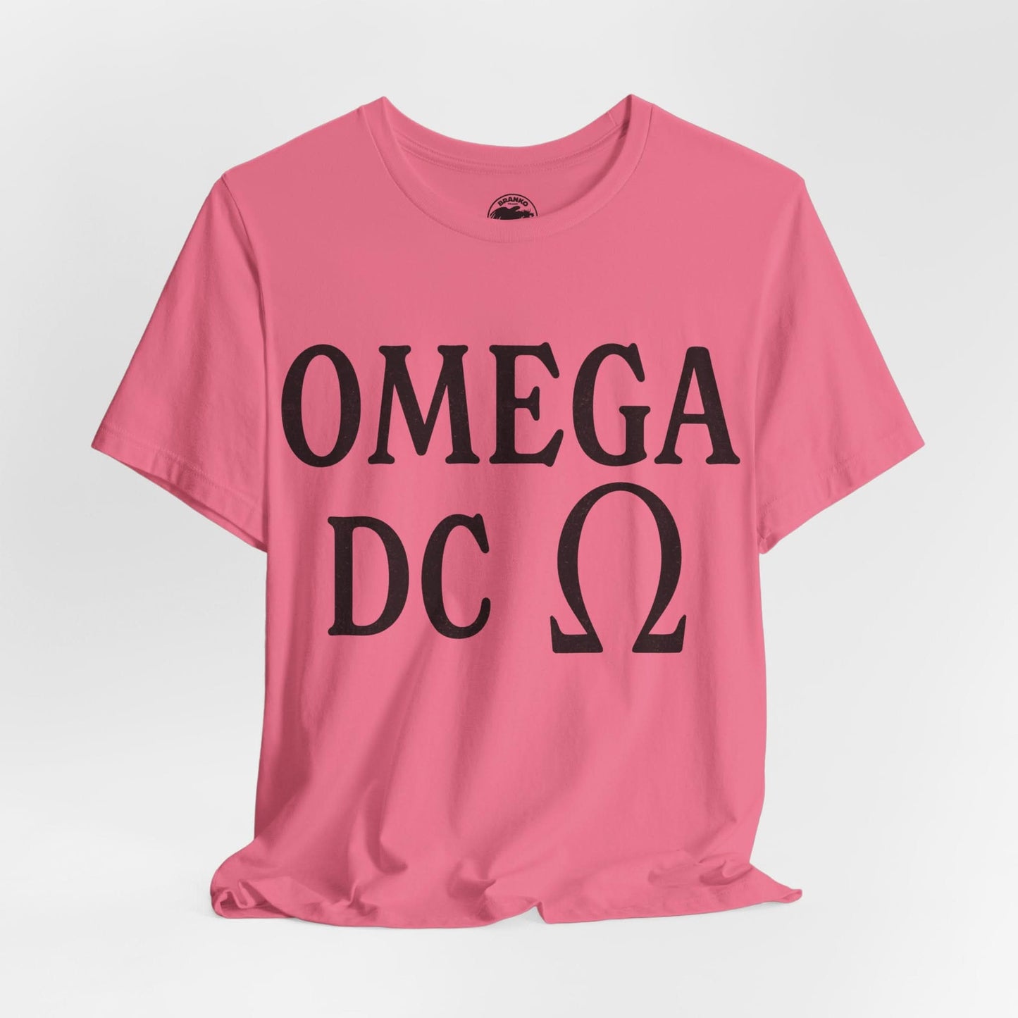 Omega DC (Iconic Washington DC Gay Club/1976-2013)