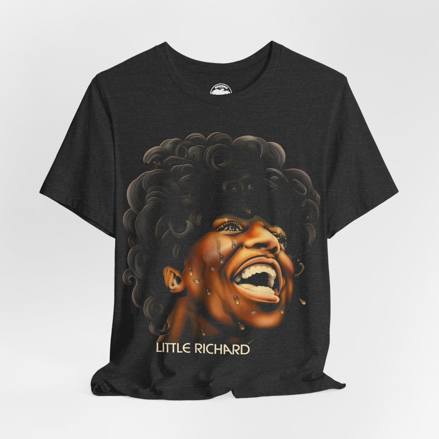 Little Richard (The Second Coming/Oversized Graphic with Vintage Print Effect)
