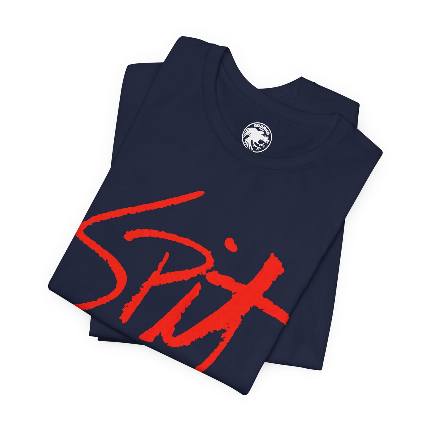 Spit (Levittown Long Island Punk and New Wave Club/1978-1992)