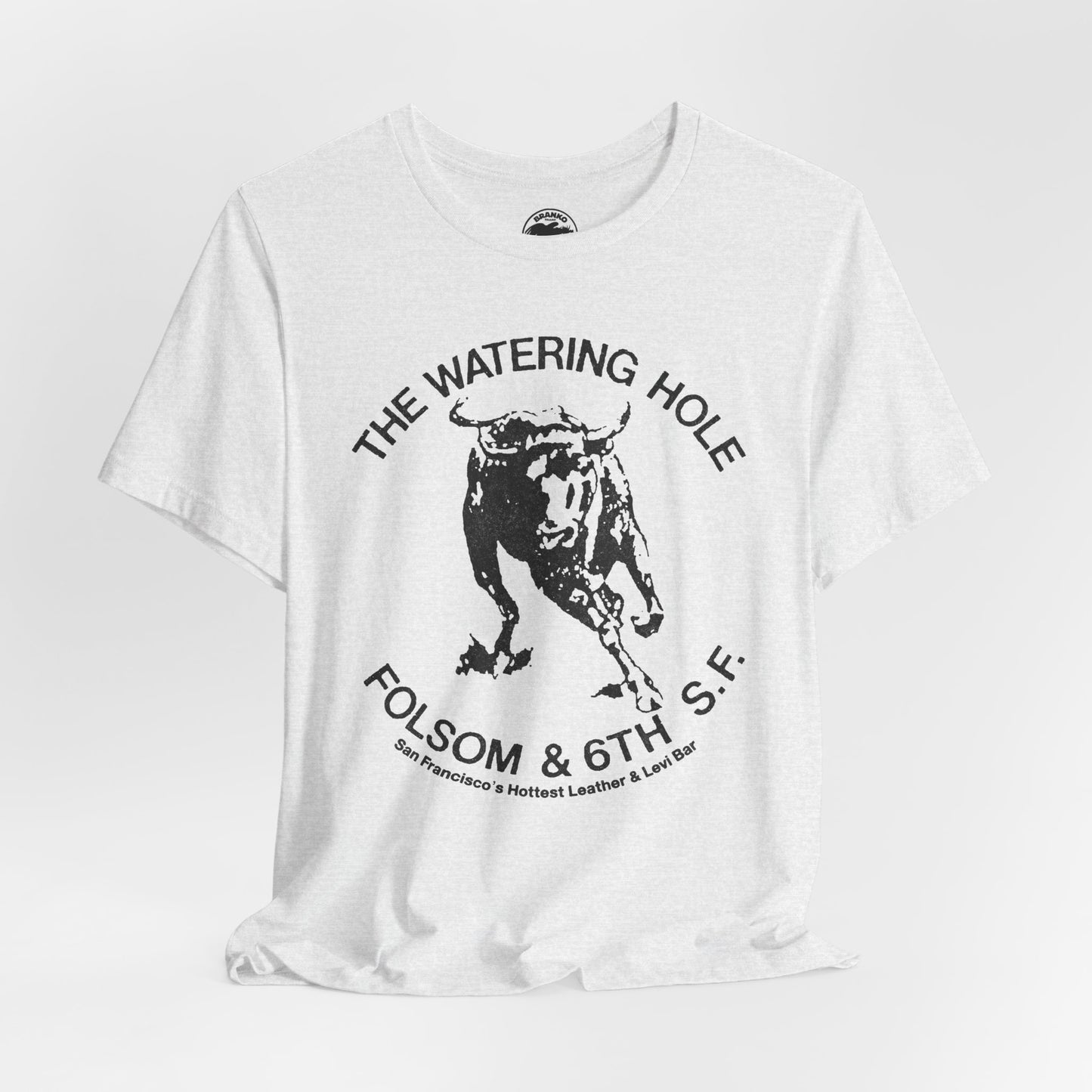 The Watering Hole (San Francisco Gay Leather and Cruising Bar/70's and 80's)