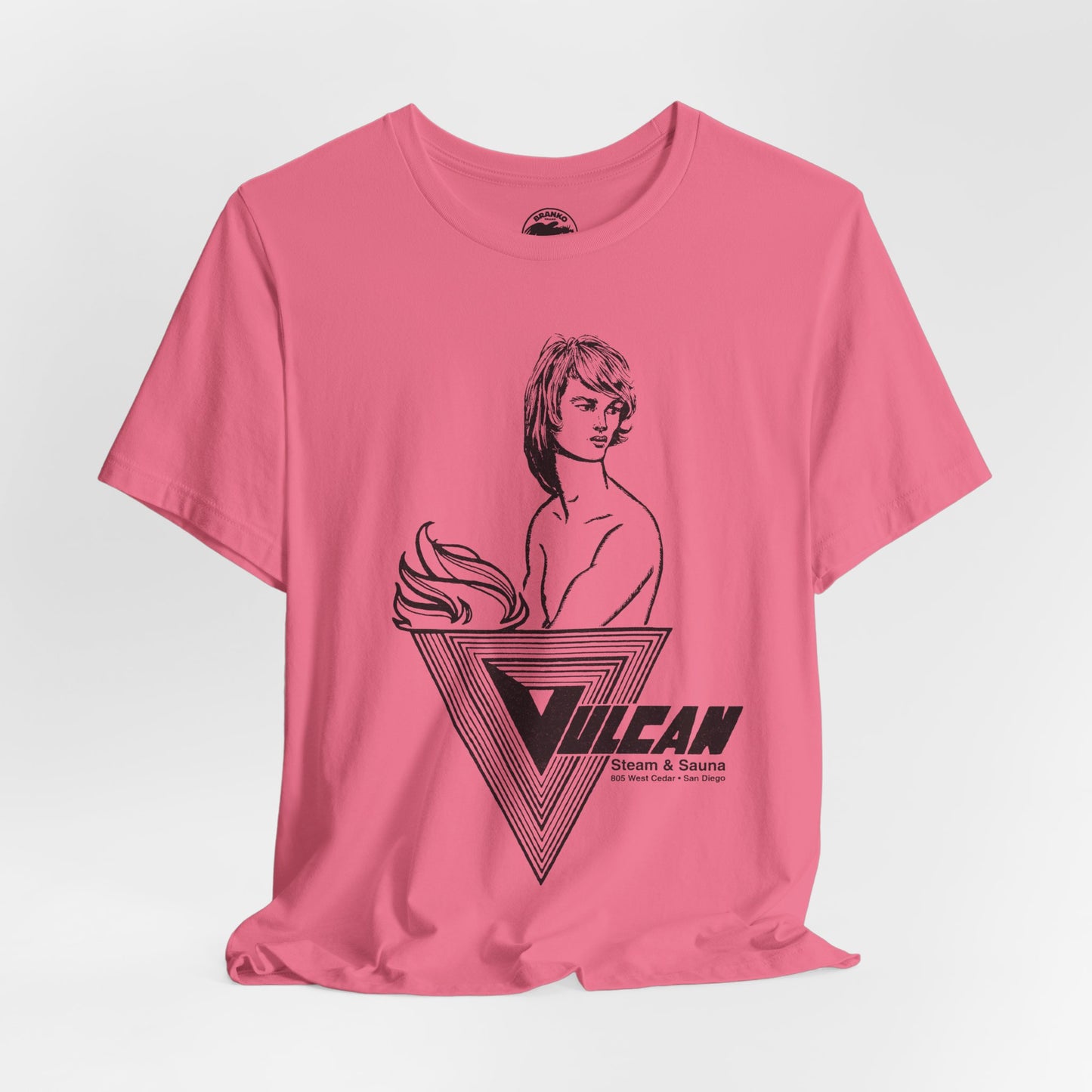 Vulcan Steam & Sauna (San Diego Gay Bathhouse/1974-2013)