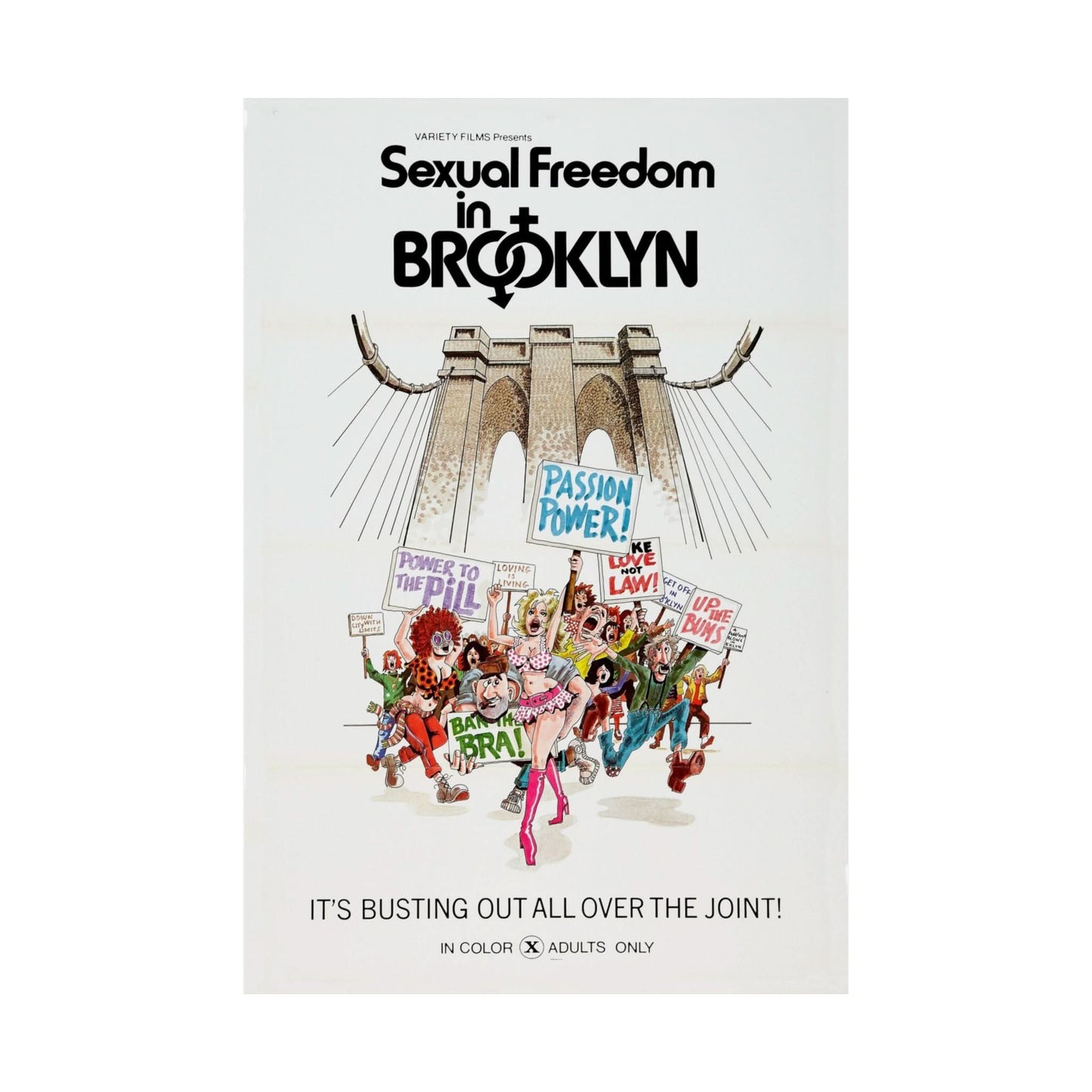 Sexual Freedom in Brooklyn (1971 Adult Film Poster/Replica Vintage Porn Poster)