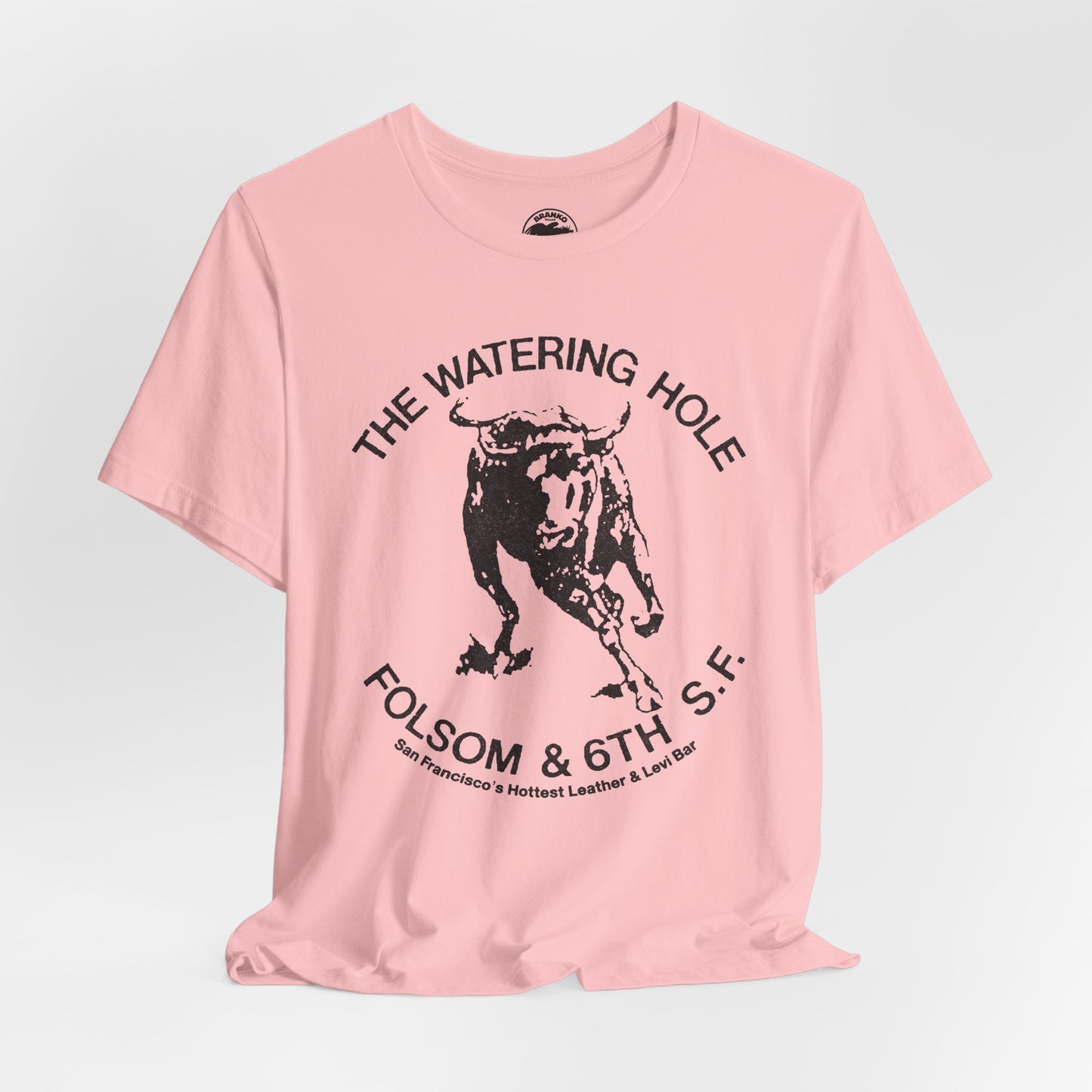 The Watering Hole (San Francisco Gay Leather and Cruising Bar/70's and 80's)