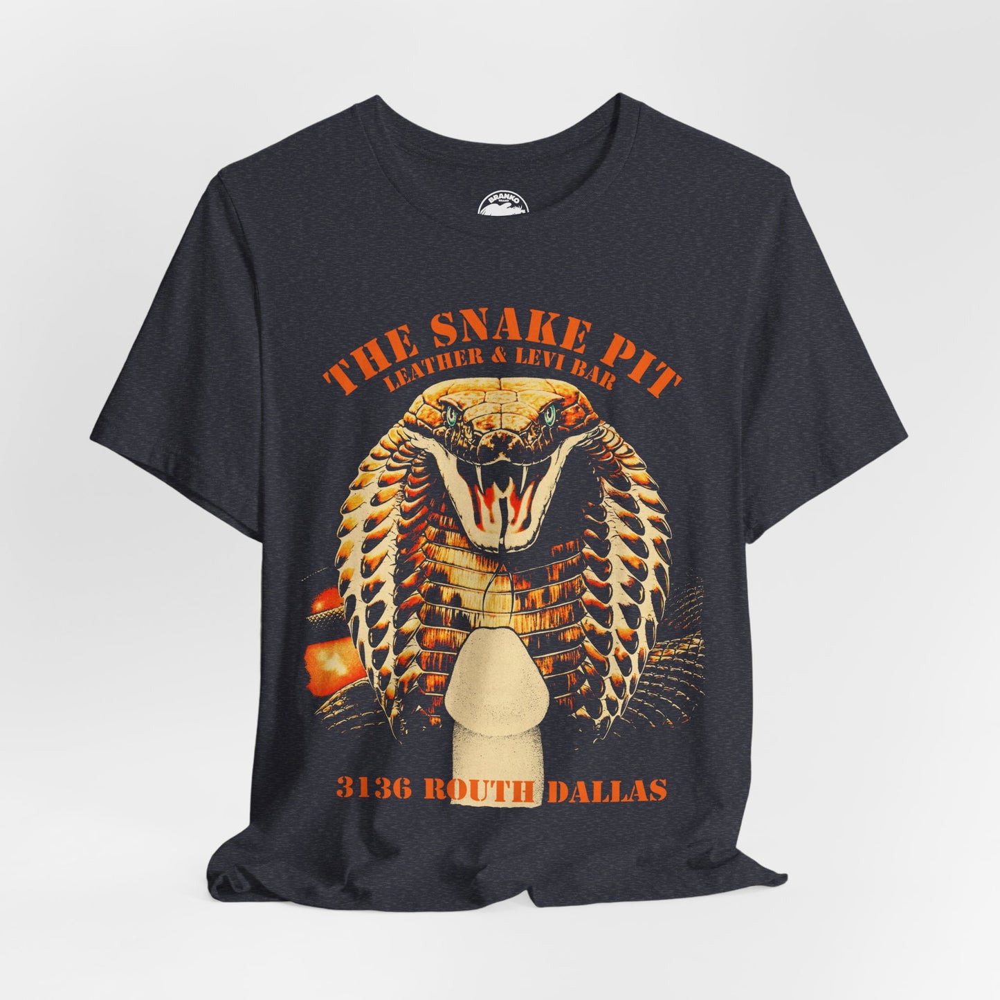 The Snake Pit (Dallas Gay Leather Bar/70's and 80's)