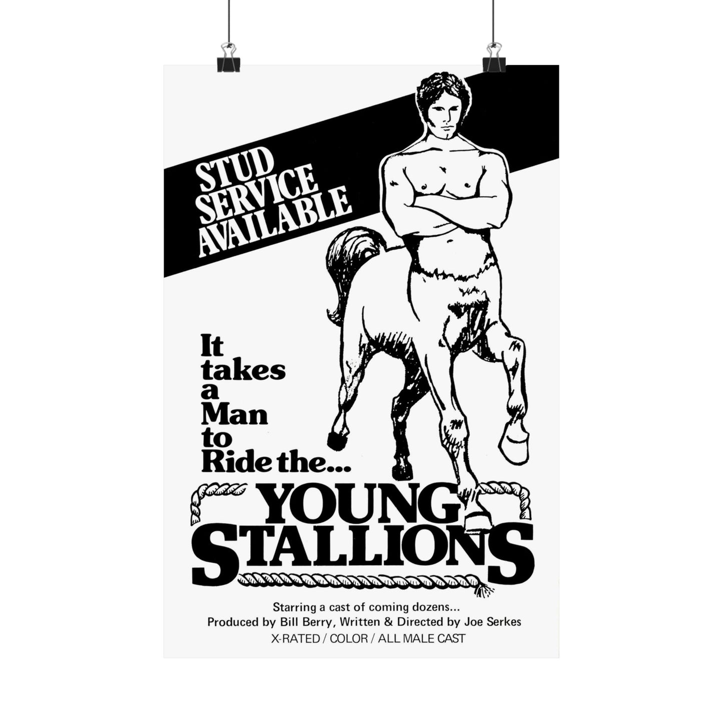 Young Stallions (Vintage Gay Adult Film Poster, Matte Vertical Poster Print, 70's Retro LGBTQ Wall Art, Young Stallions)