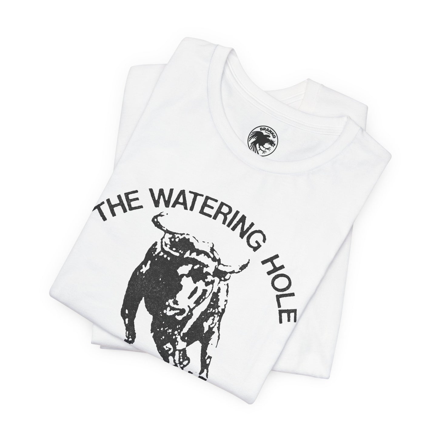 The Watering Hole (San Francisco Gay Leather and Cruising Bar/70's and 80's)