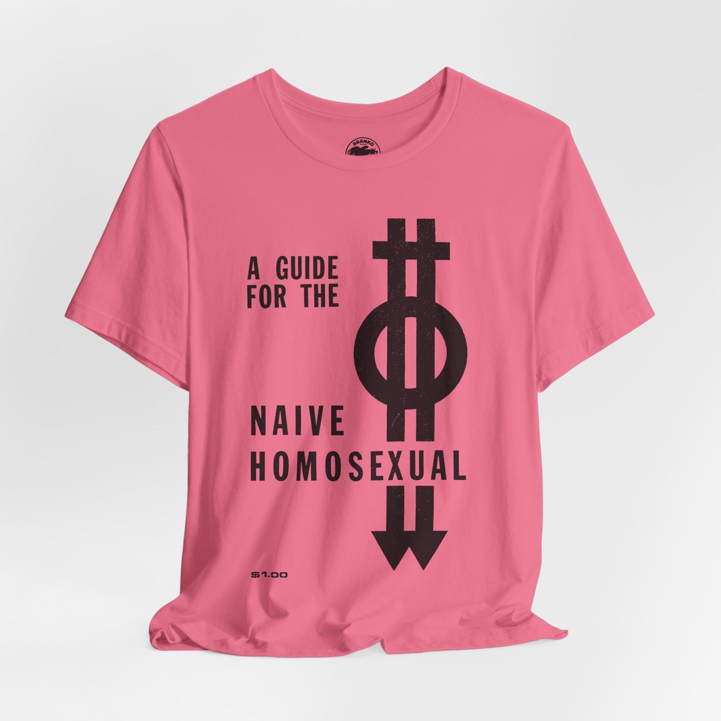A Guide For The Naive Homosexual (Vintage Gay Guide Cover)