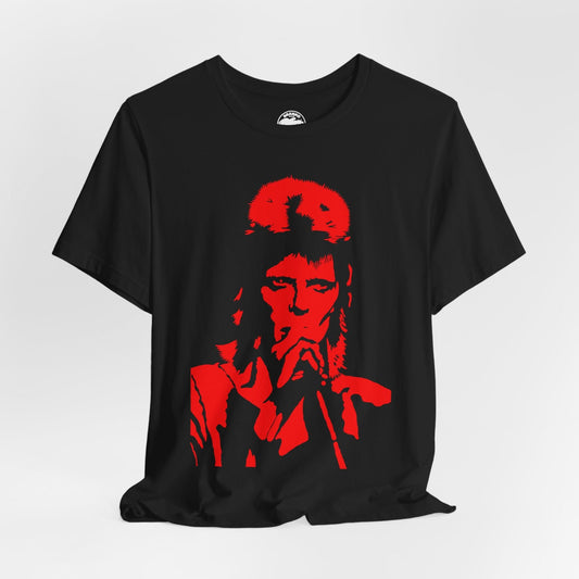 David Bowie (Ziggy Stardust Era Graphic Design)