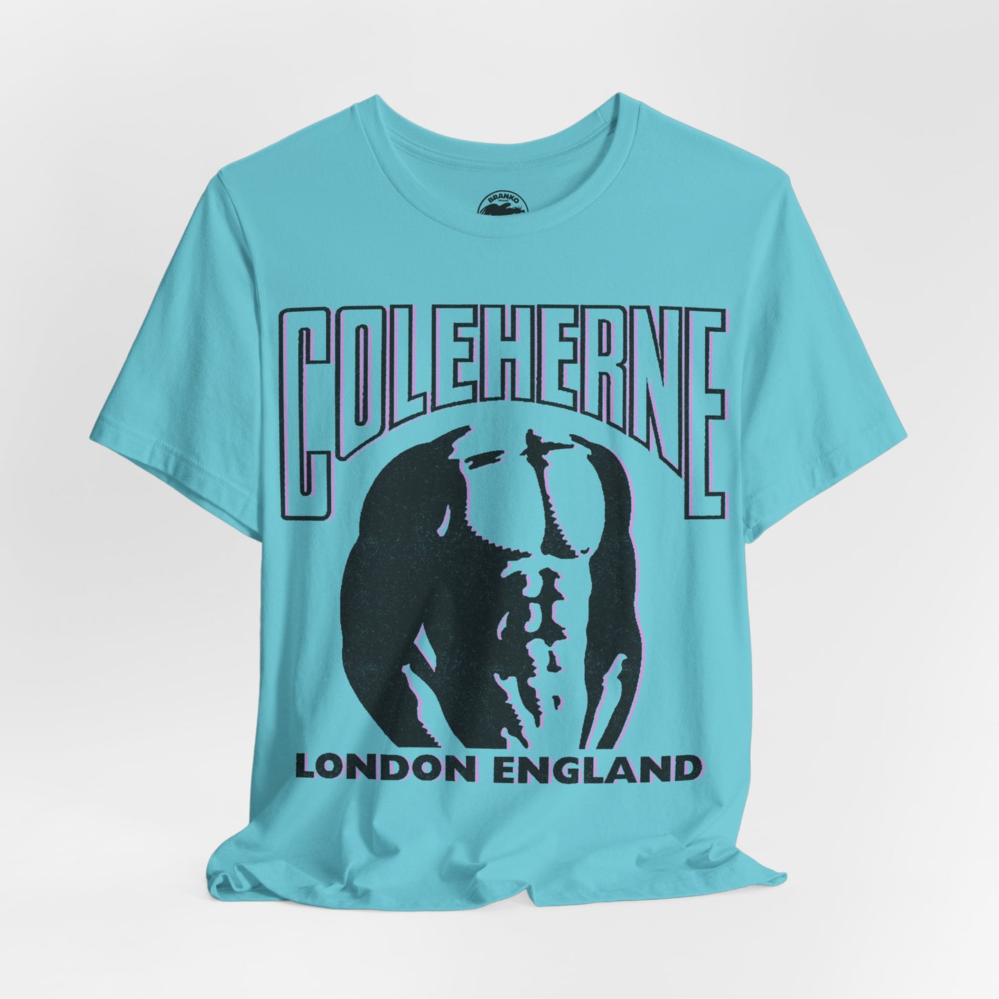 The Coleherne (London Gay Leather Bar/1866-2008)
