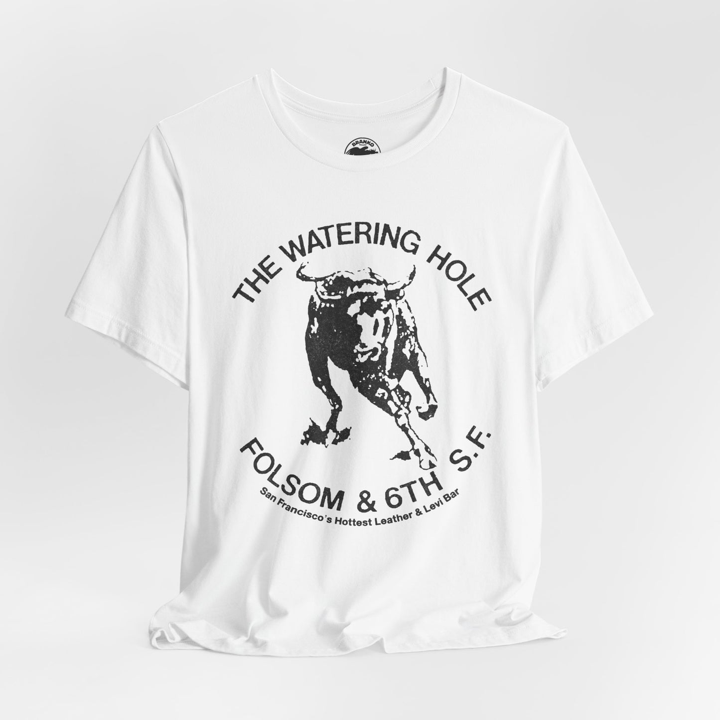 The Watering Hole (San Francisco Gay Leather and Cruising Bar/70's and 80's)