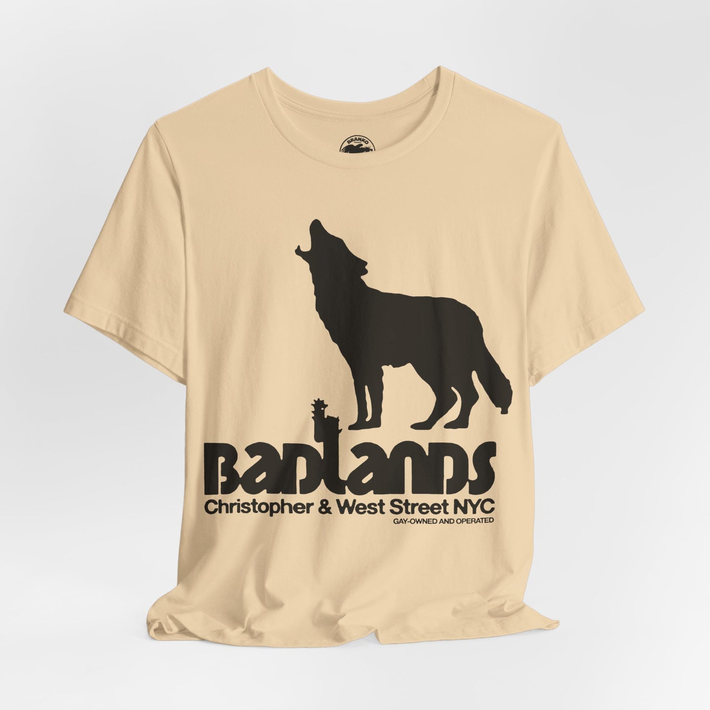 Badlands (New York City Gay Bar/70's to 80's)