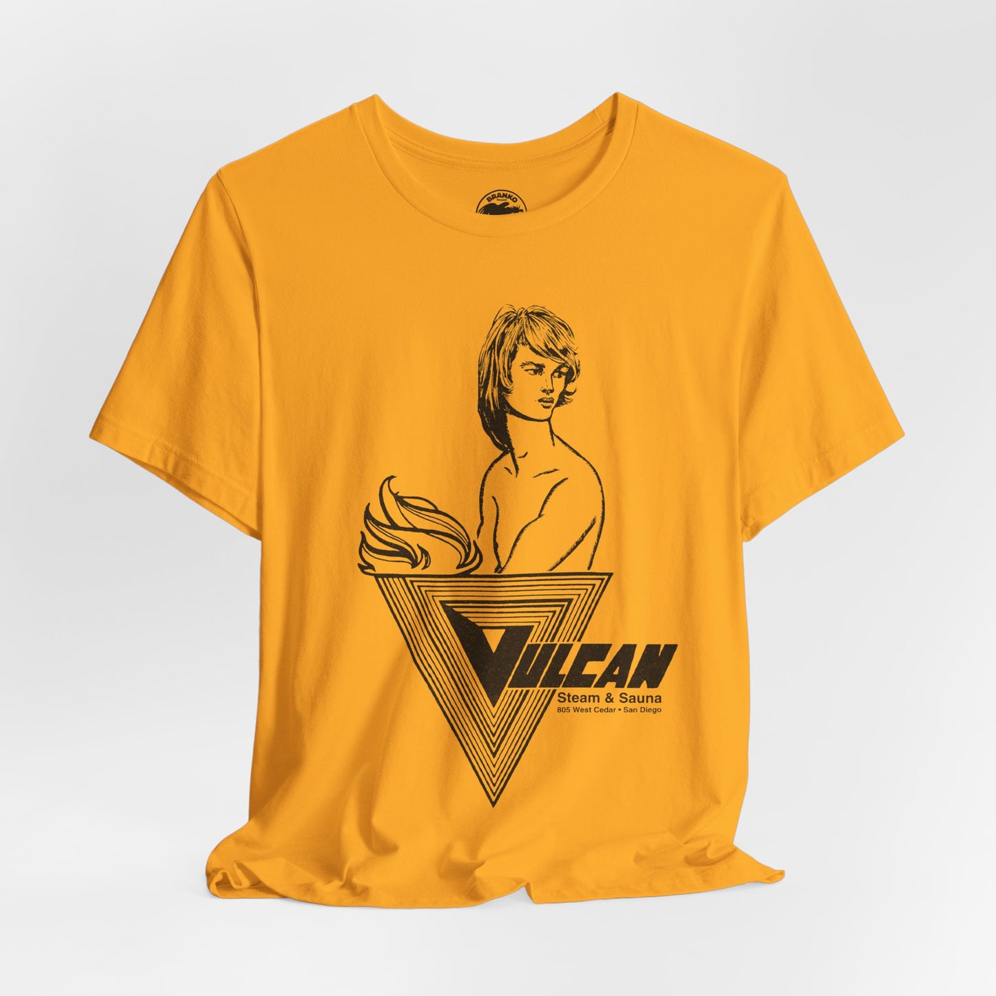 Vulcan Steam & Sauna (San Diego Gay Bathhouse/1974-2013)