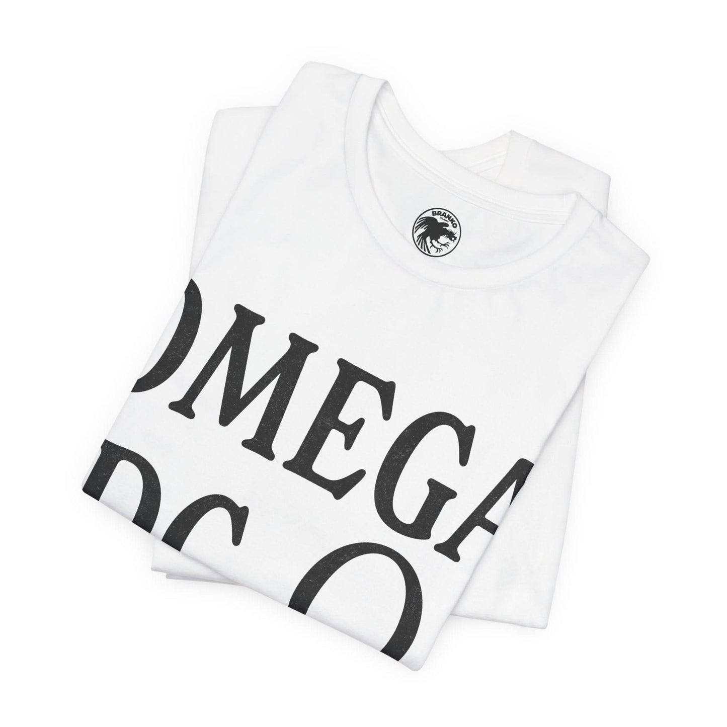Omega DC (Iconic Washington DC Gay Club/1976-2013)
