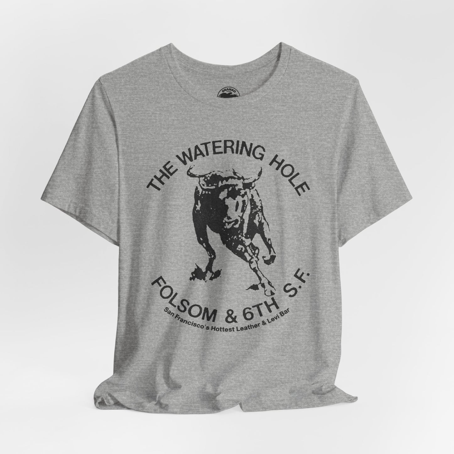 The Watering Hole (San Francisco Gay Leather and Cruising Bar/70's and 80's)