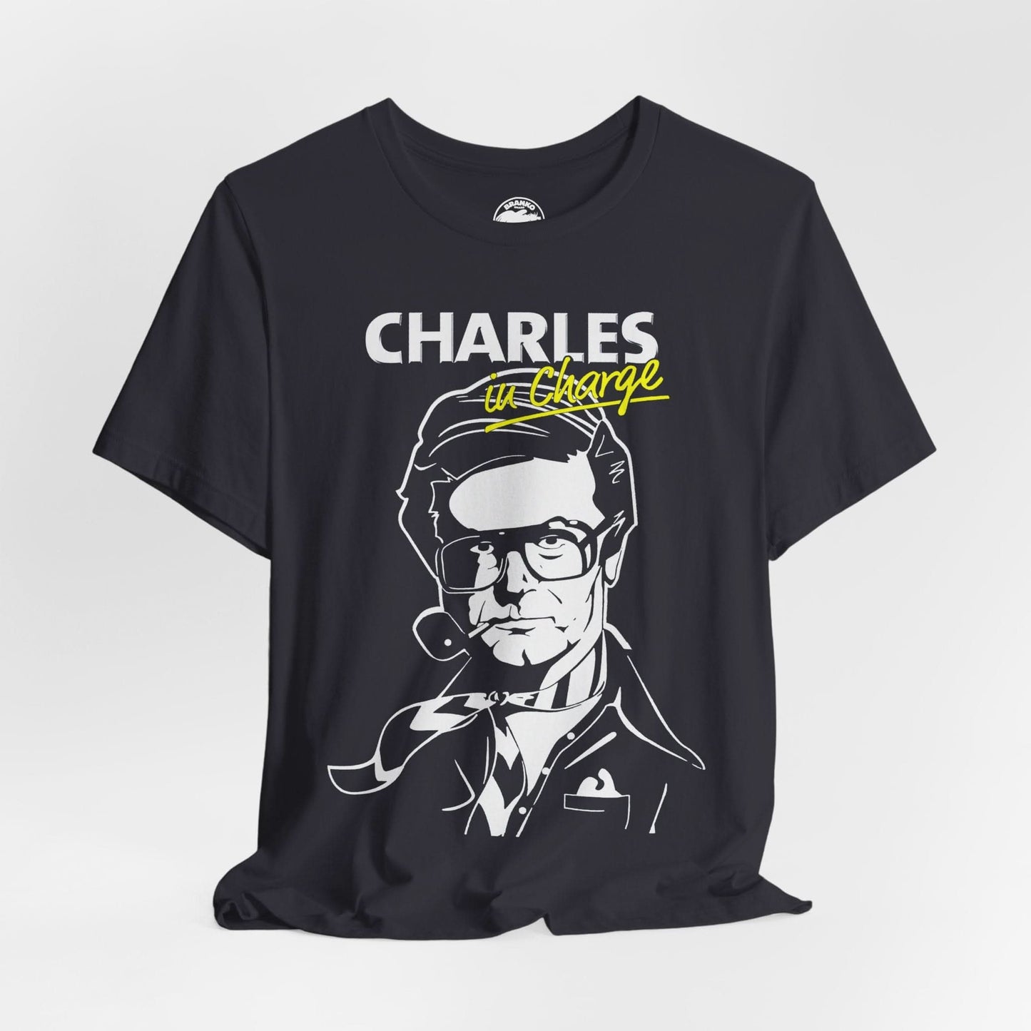 Charles Nelson Reilly (Charles in Charge)