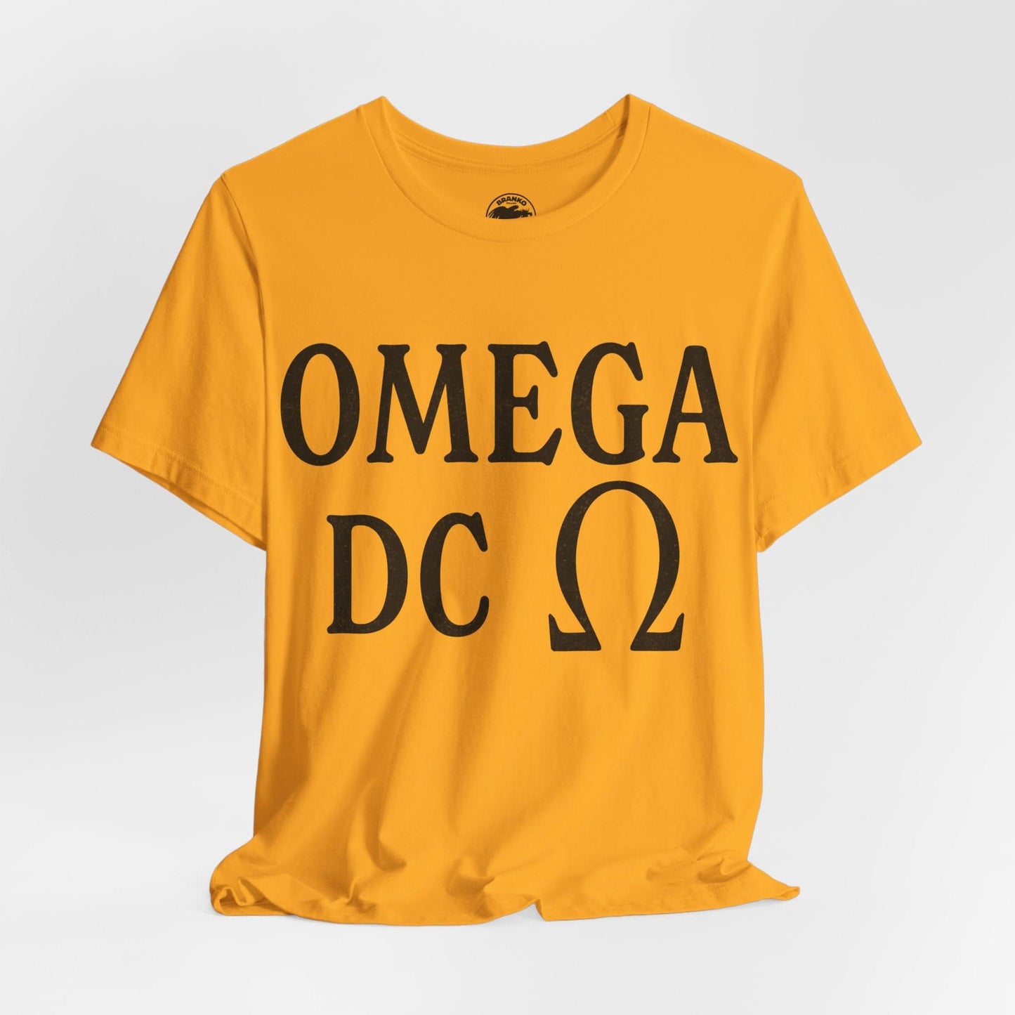 Omega DC (Iconic Washington DC Gay Club/1976-2013)