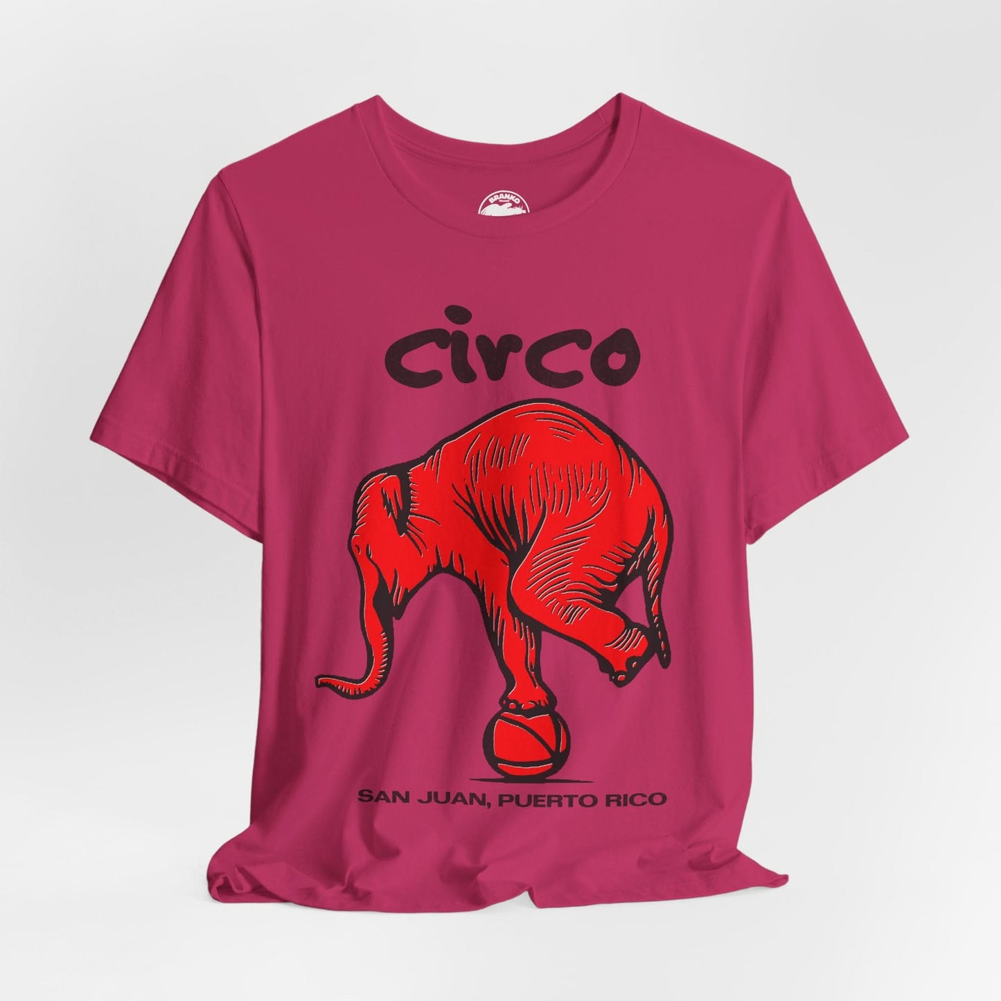 Circo San Juan (San Juan, Puerto Rico Gay Club/1991-2020)
