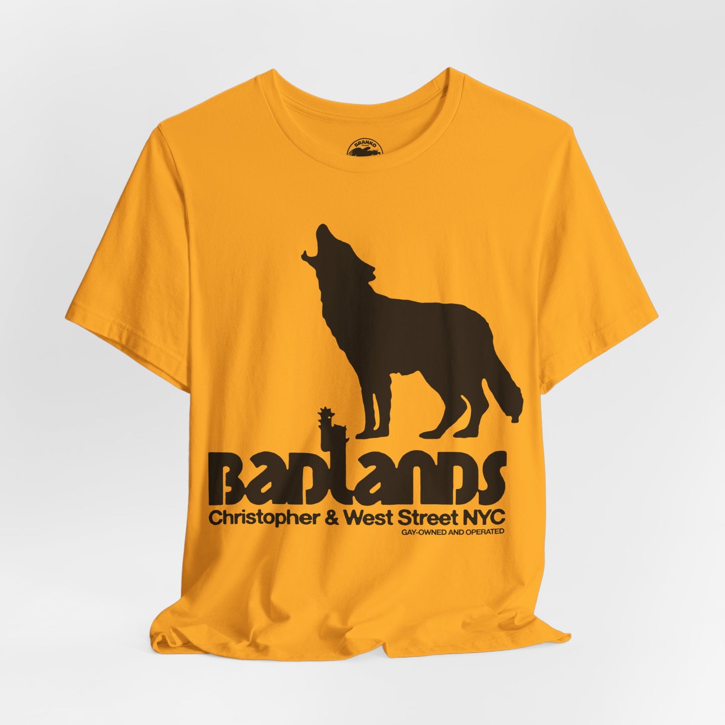 Badlands (New York City Gay Bar/70's to 80's)