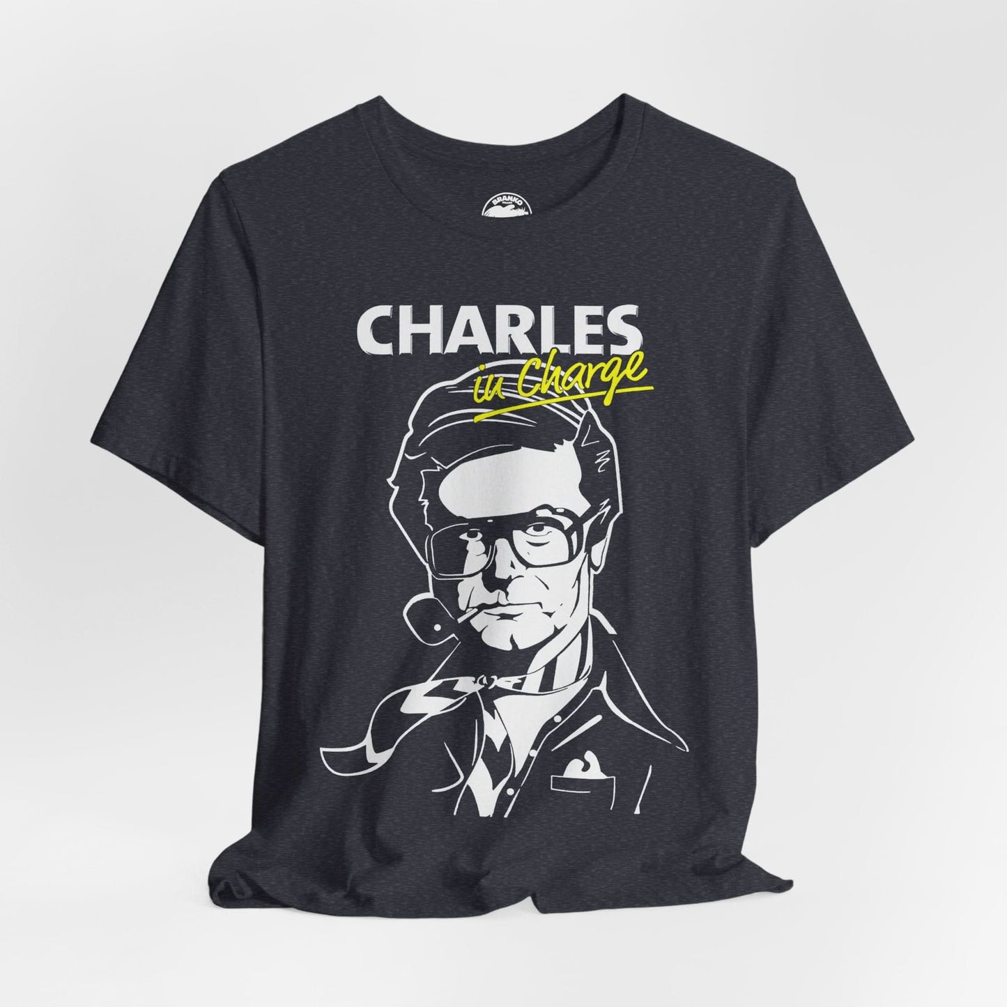 Charles Nelson Reilly (Charles in Charge)