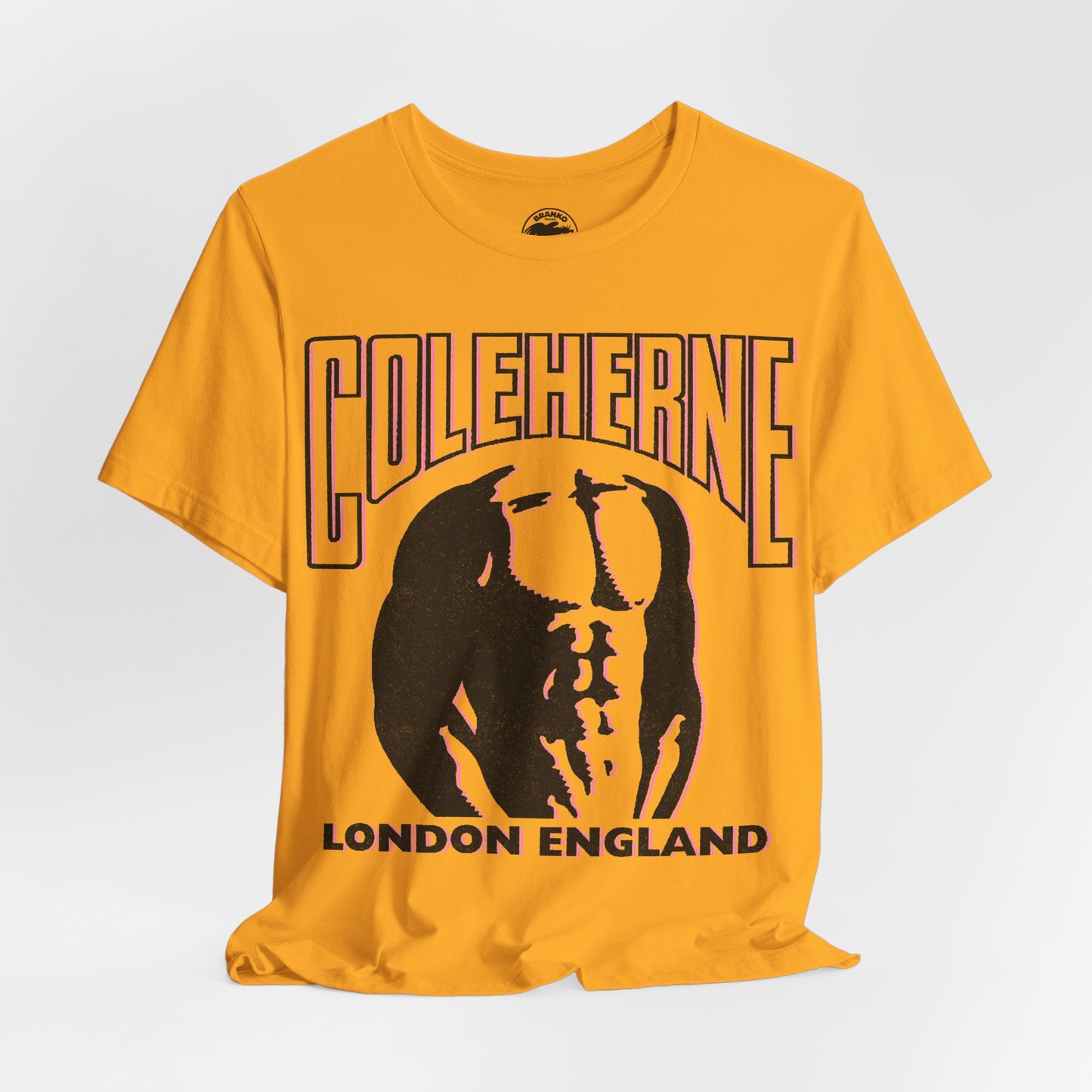 The Coleherne (London Gay Leather Bar/1866-2008)