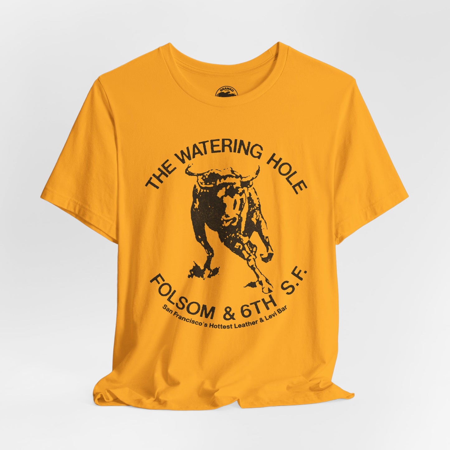 The Watering Hole (San Francisco Gay Leather and Cruising Bar/70's and 80's)
