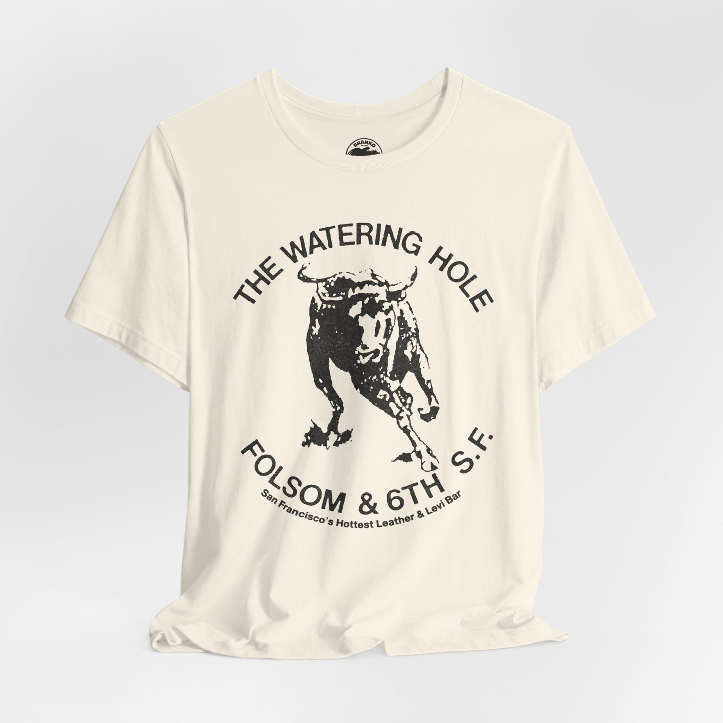 The Watering Hole (San Francisco Gay Leather and Cruising Bar/70's and 80's)