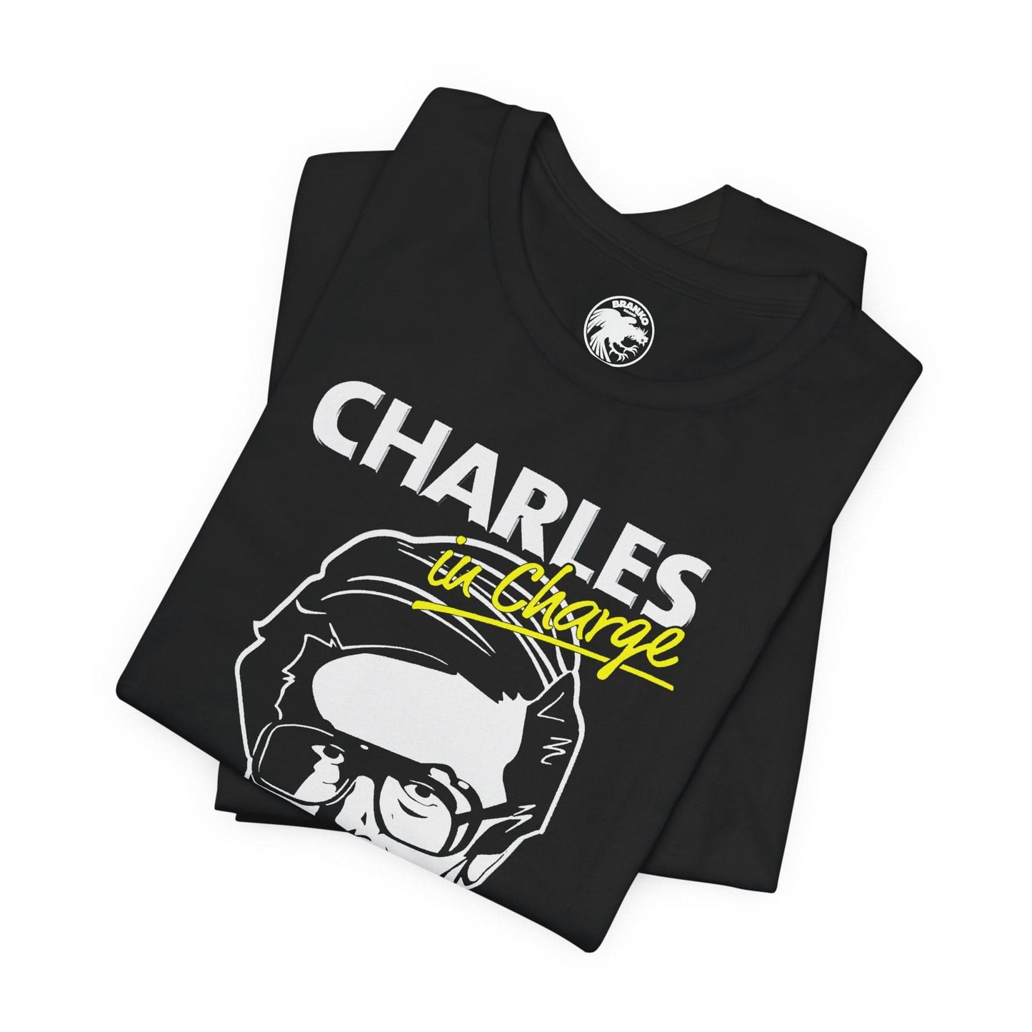 Charles Nelson Reilly (Charles in Charge)