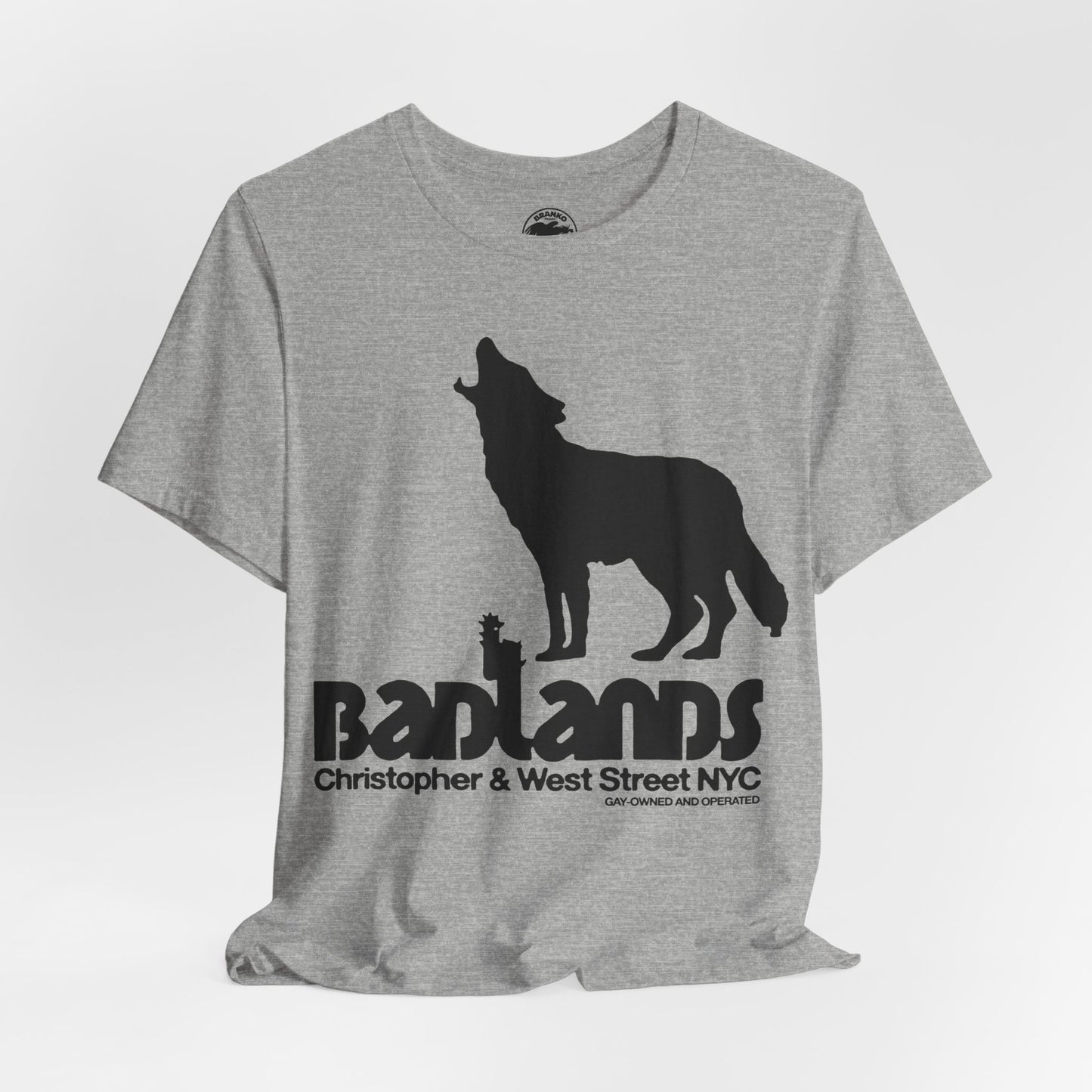 Badlands (New York City Gay Bar/70's to 80's)
