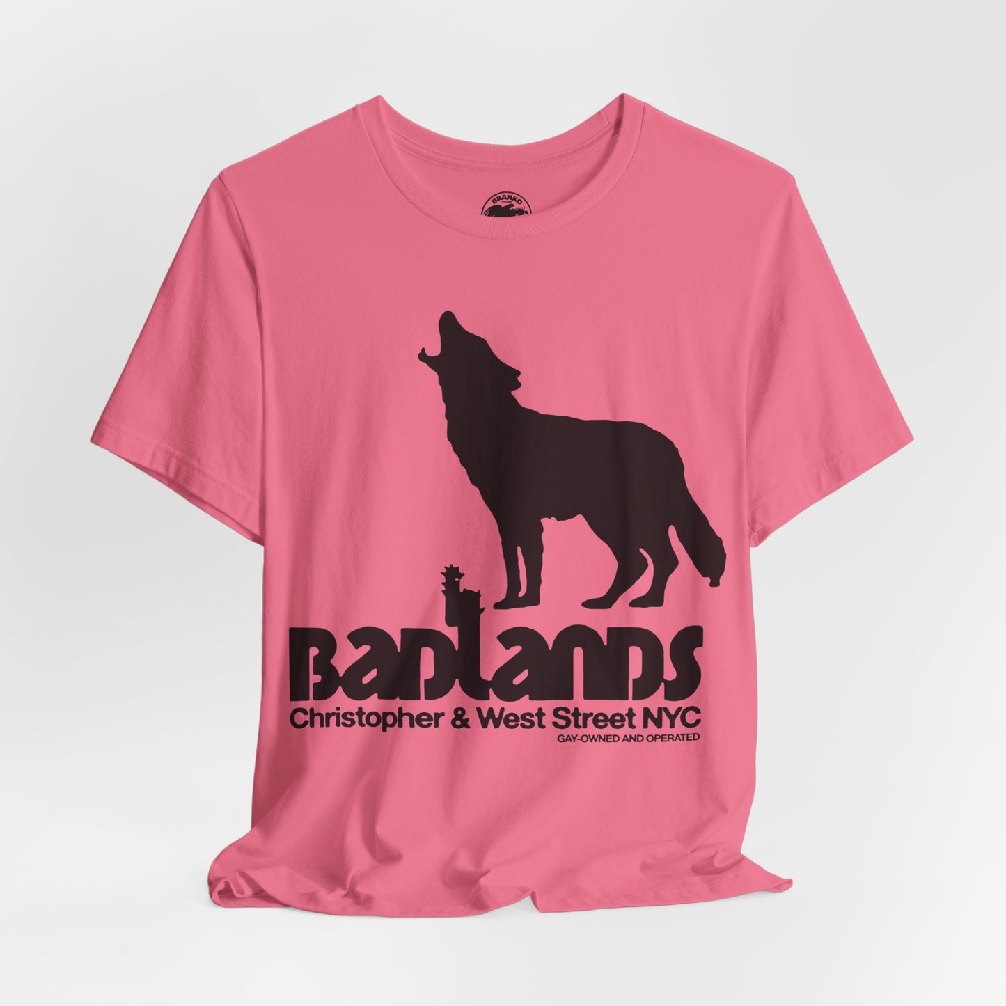 Badlands (New York City Gay Bar/70's to 80's)