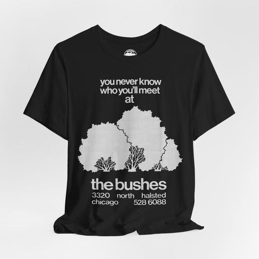 The Bushes Chicago (Chicago Gay Cruise Bar)