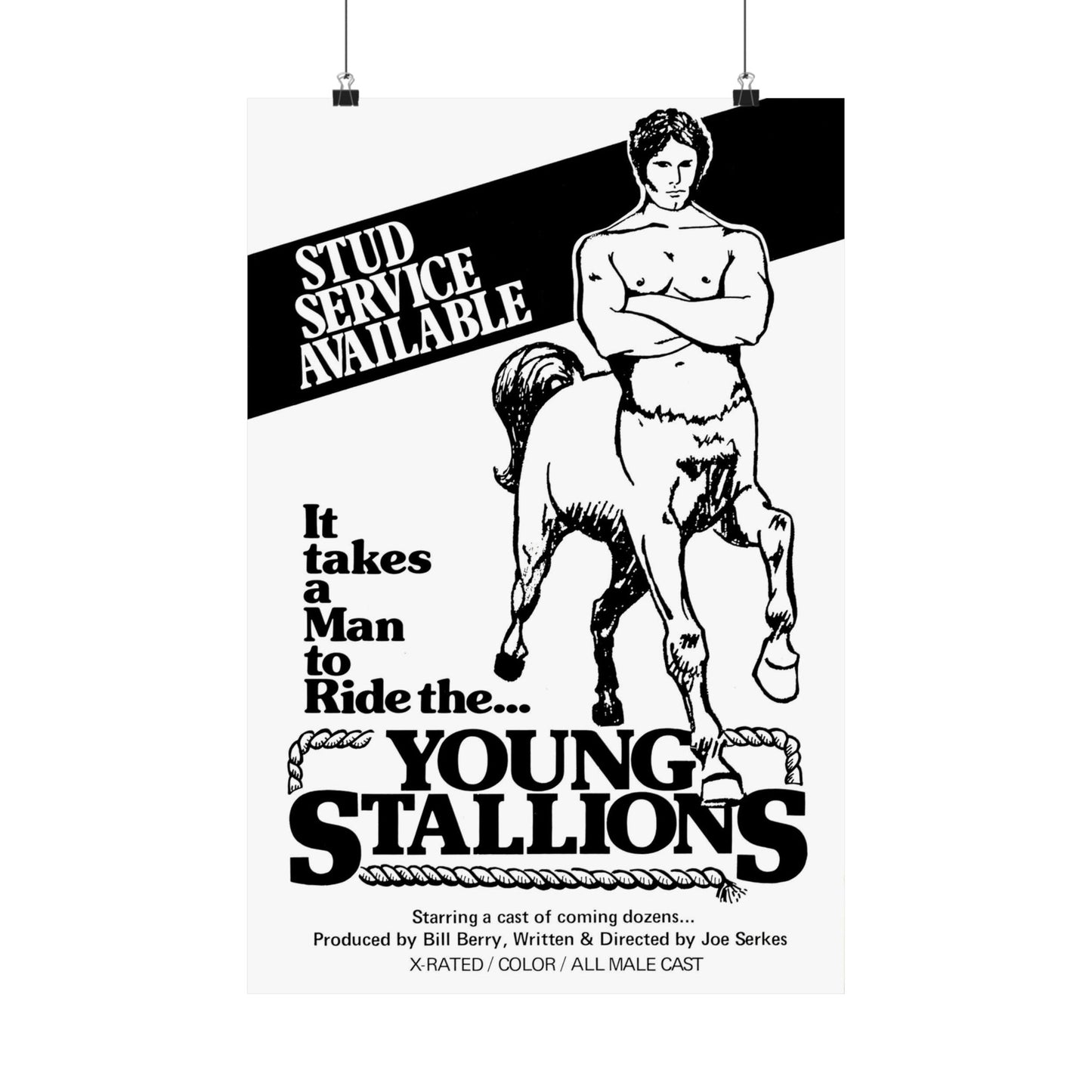 Young Stallions (Vintage Gay Adult Film Poster, Matte Vertical Poster Print, 70's Retro LGBTQ Wall Art, Young Stallions)