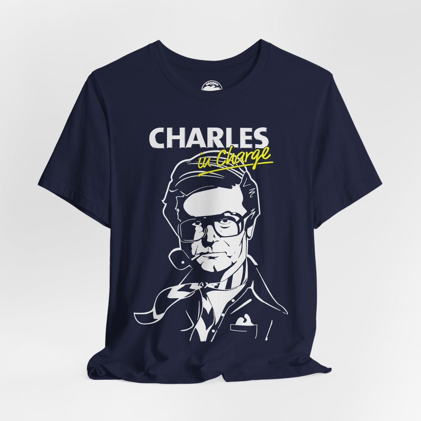 Charles Nelson Reilly (Charles in Charge)