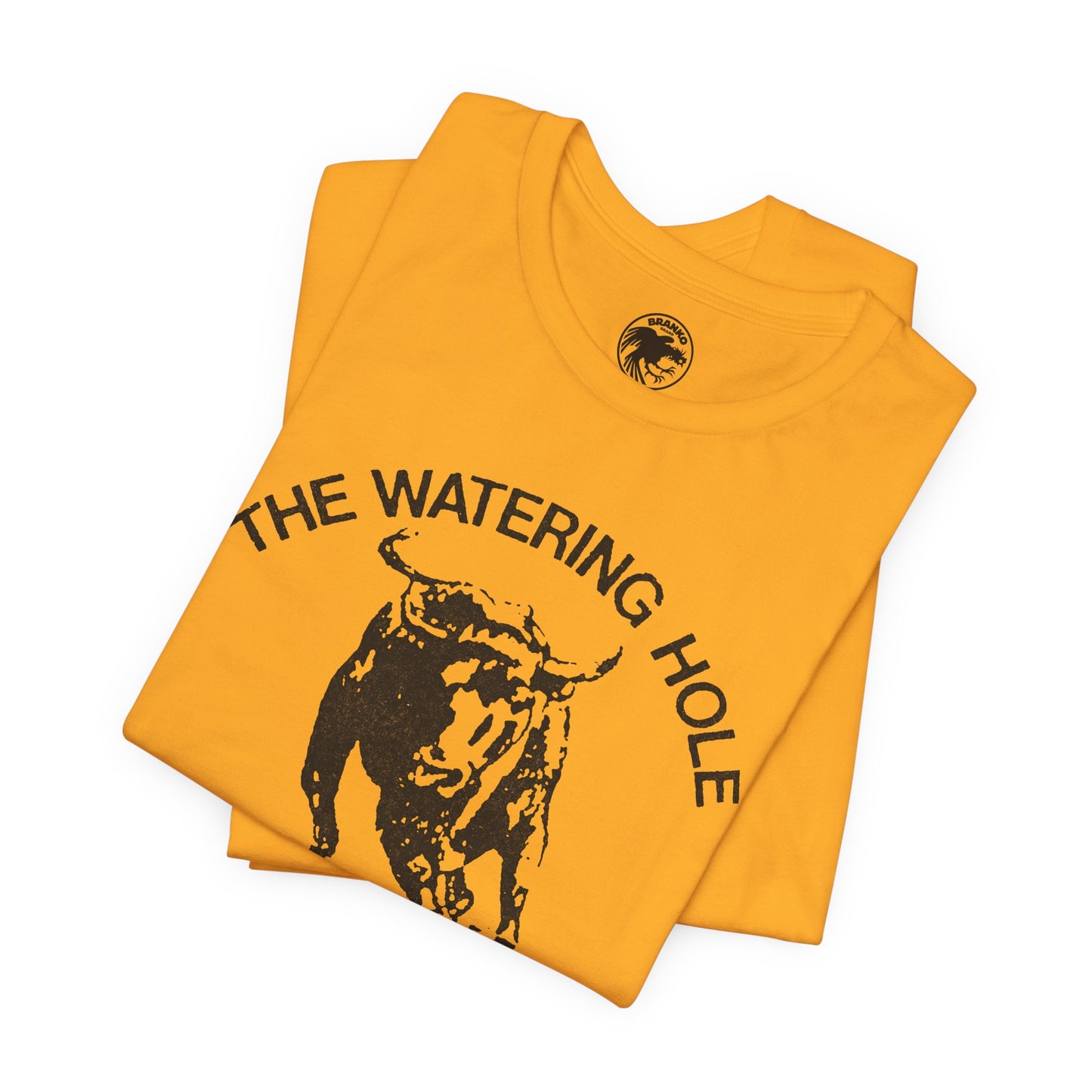 The Watering Hole (San Francisco Gay Leather and Cruising Bar/70's and 80's)