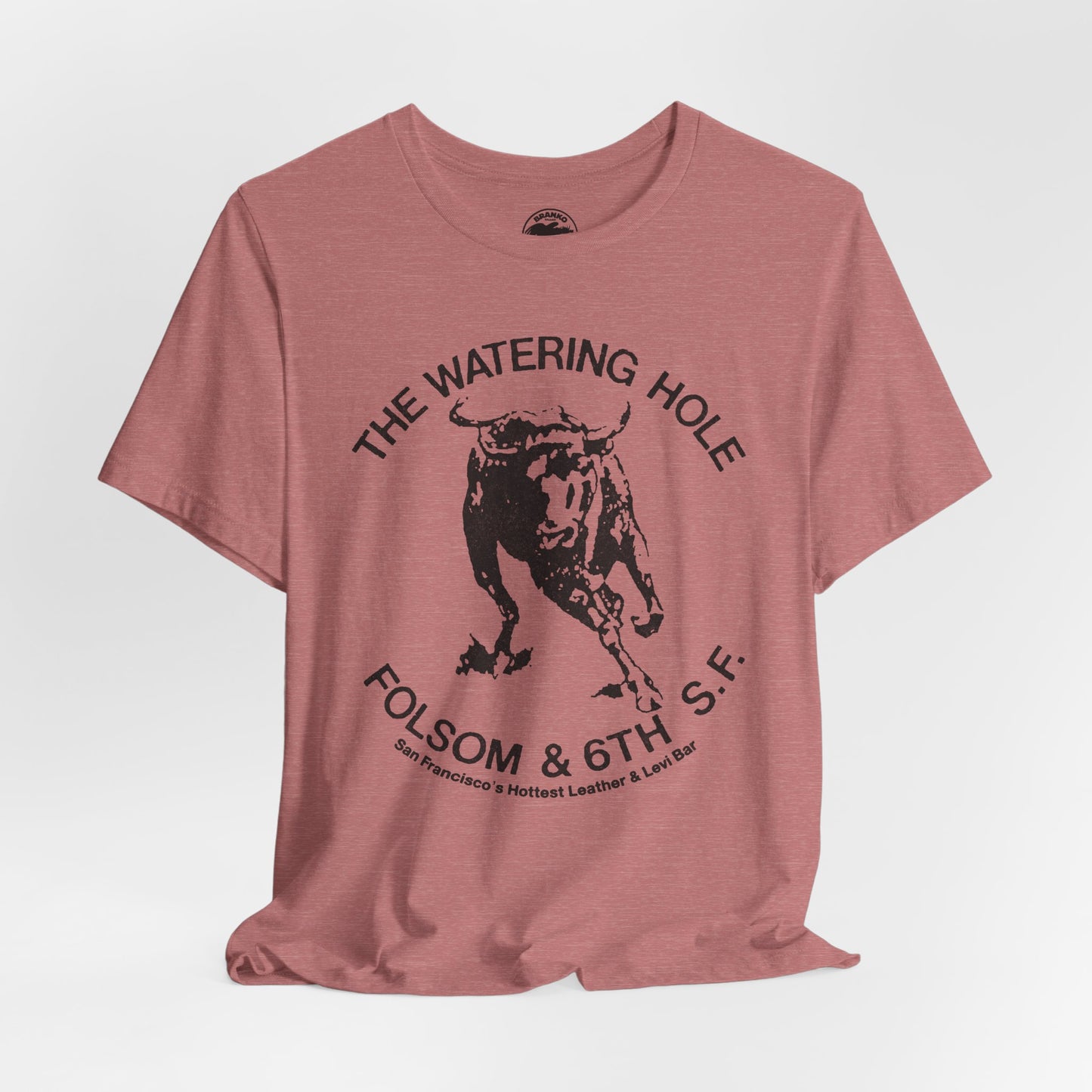 The Watering Hole (San Francisco Gay Leather and Cruising Bar/70's and 80's)