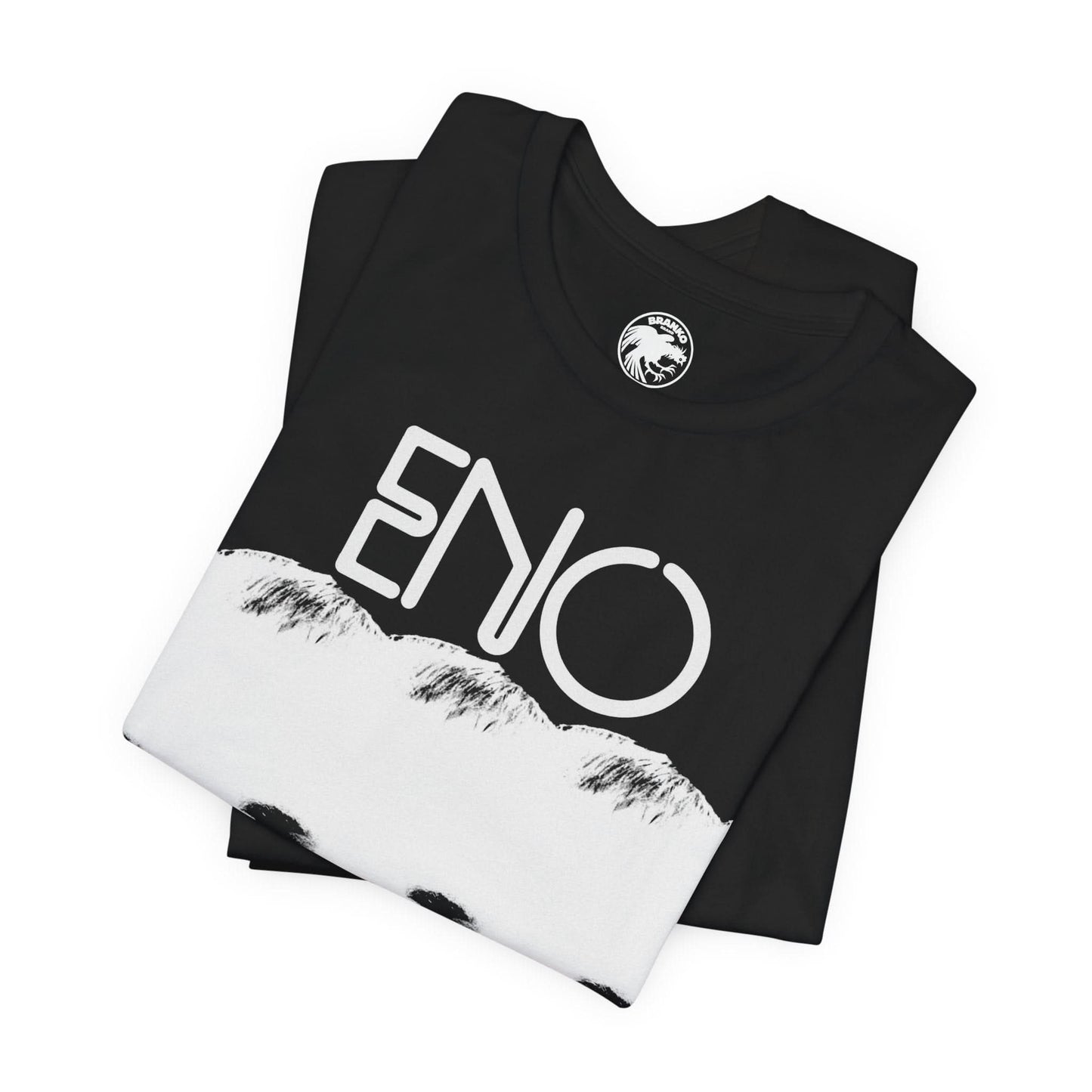 Eno (Brian Eno Warm Jets/Tiger Mountain Era Graphic Design)