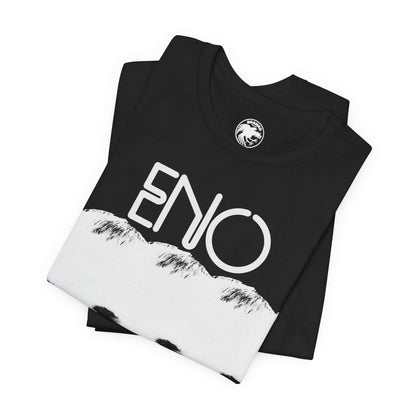 Eno (Brian Eno Warm Jets/Tiger Mountain Era Graphic Design)