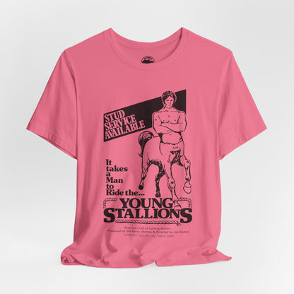 Young Stallions (70's Gay Porn Poster Image)