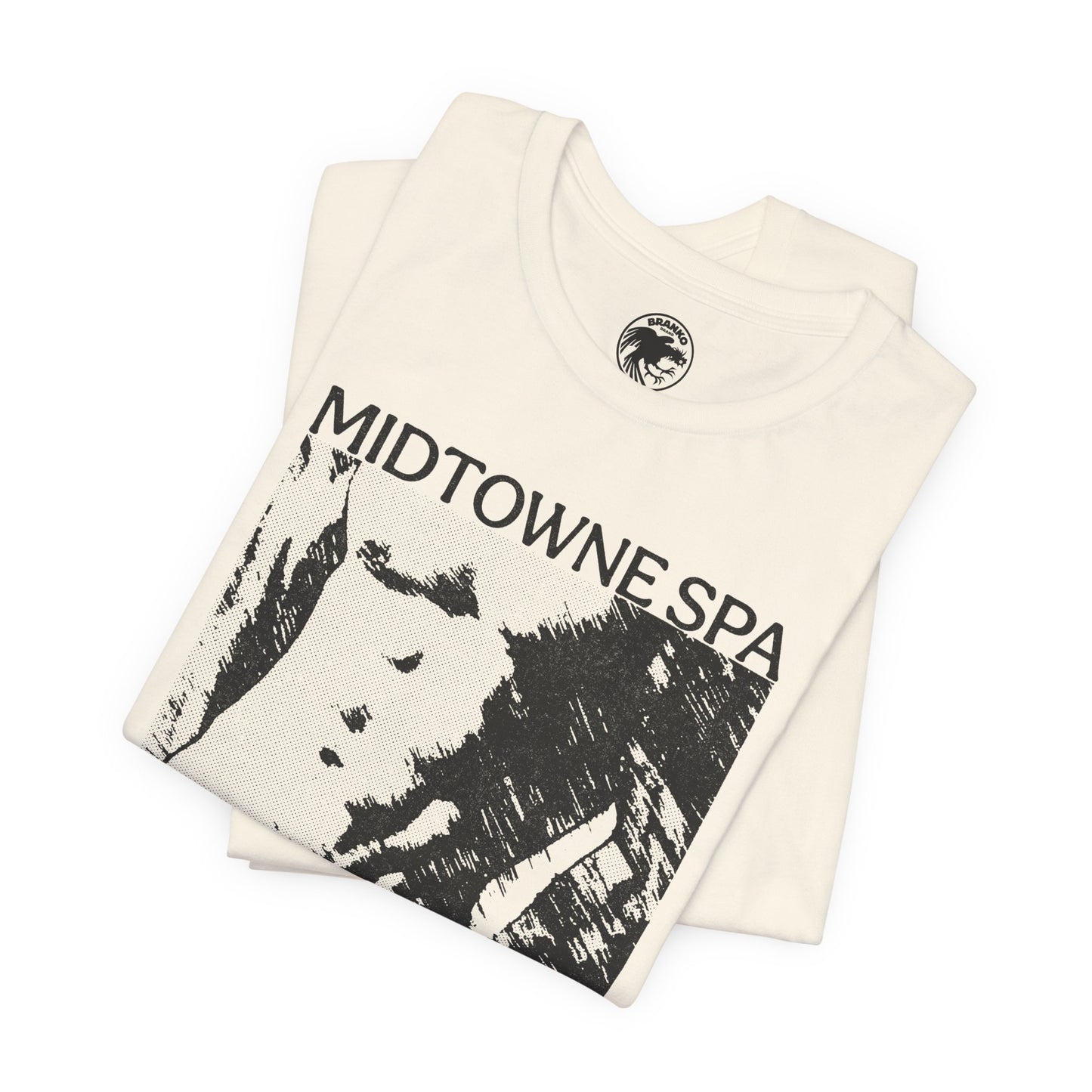 Midtowne Spa (Los Angeles Gay Bathhouse/1972-2022)