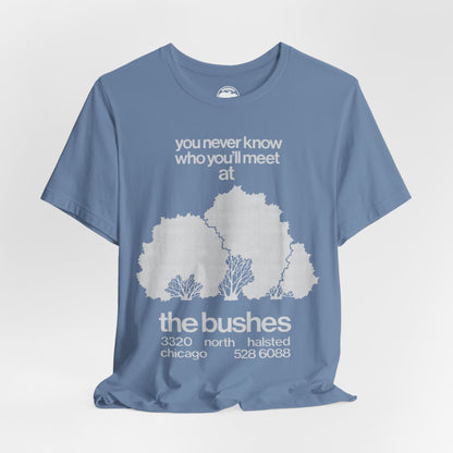 The Bushes Chicago (Chicago Gay Cruise Bar)