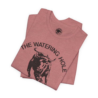The Watering Hole (San Francisco Gay Leather and Cruising Bar/70's and 80's)