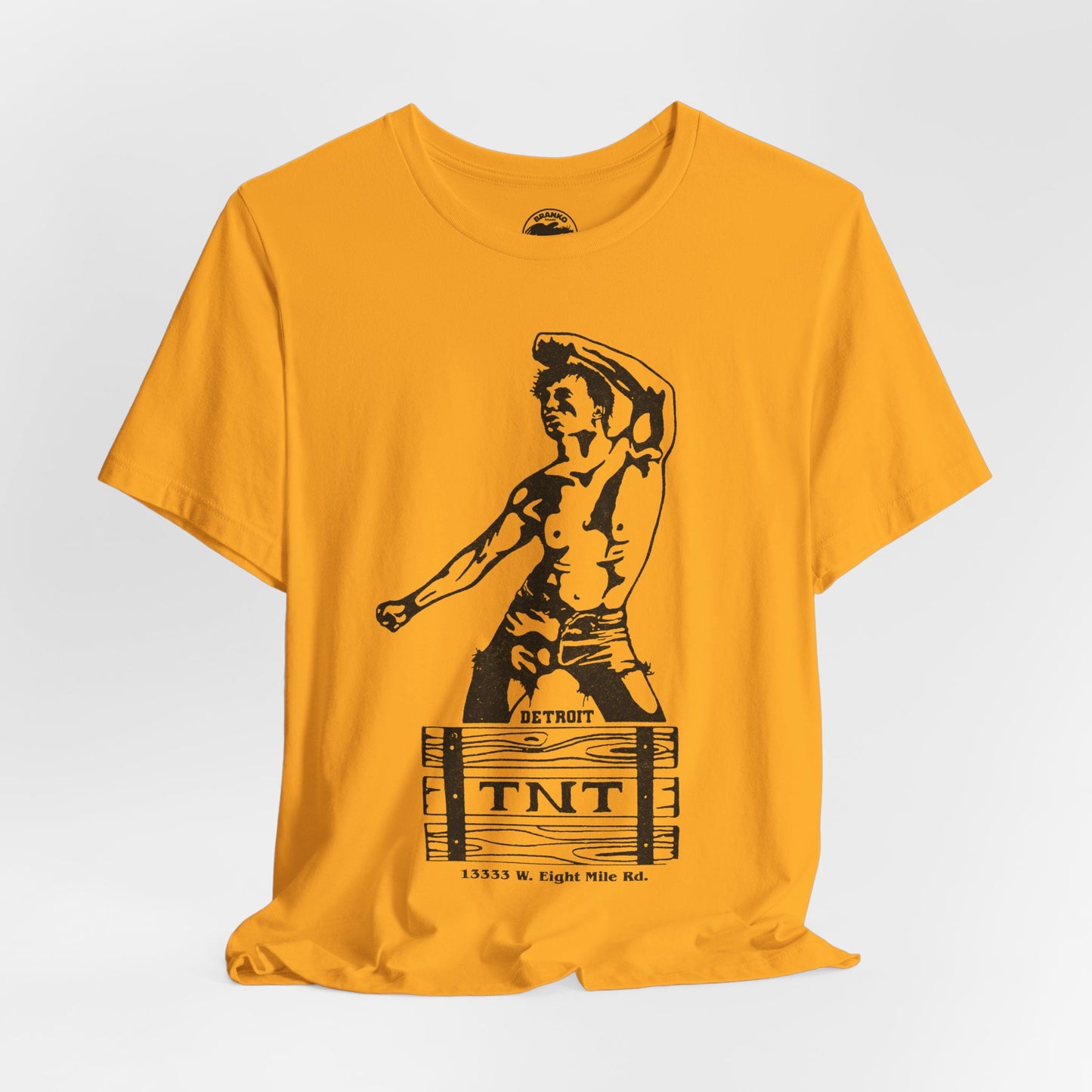 TNT Health Club (Detroit Gay Bathhouse and Club/1979-2018)