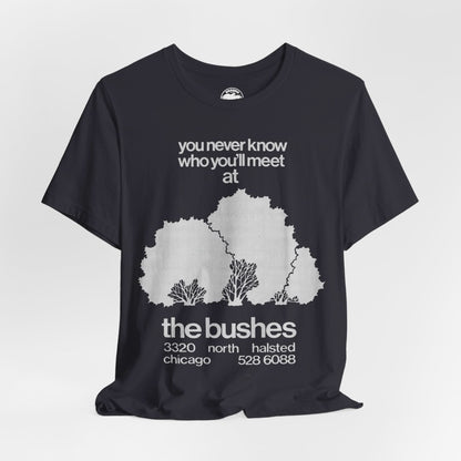 The Bushes Chicago (Chicago Gay Cruise Bar)