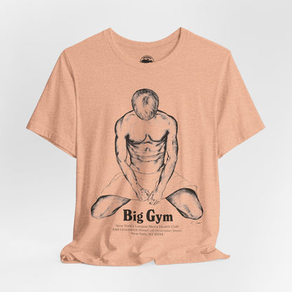 Big Gym (New York's Largest Men's Health Club/70's to 80's/Gay Bathhouse)