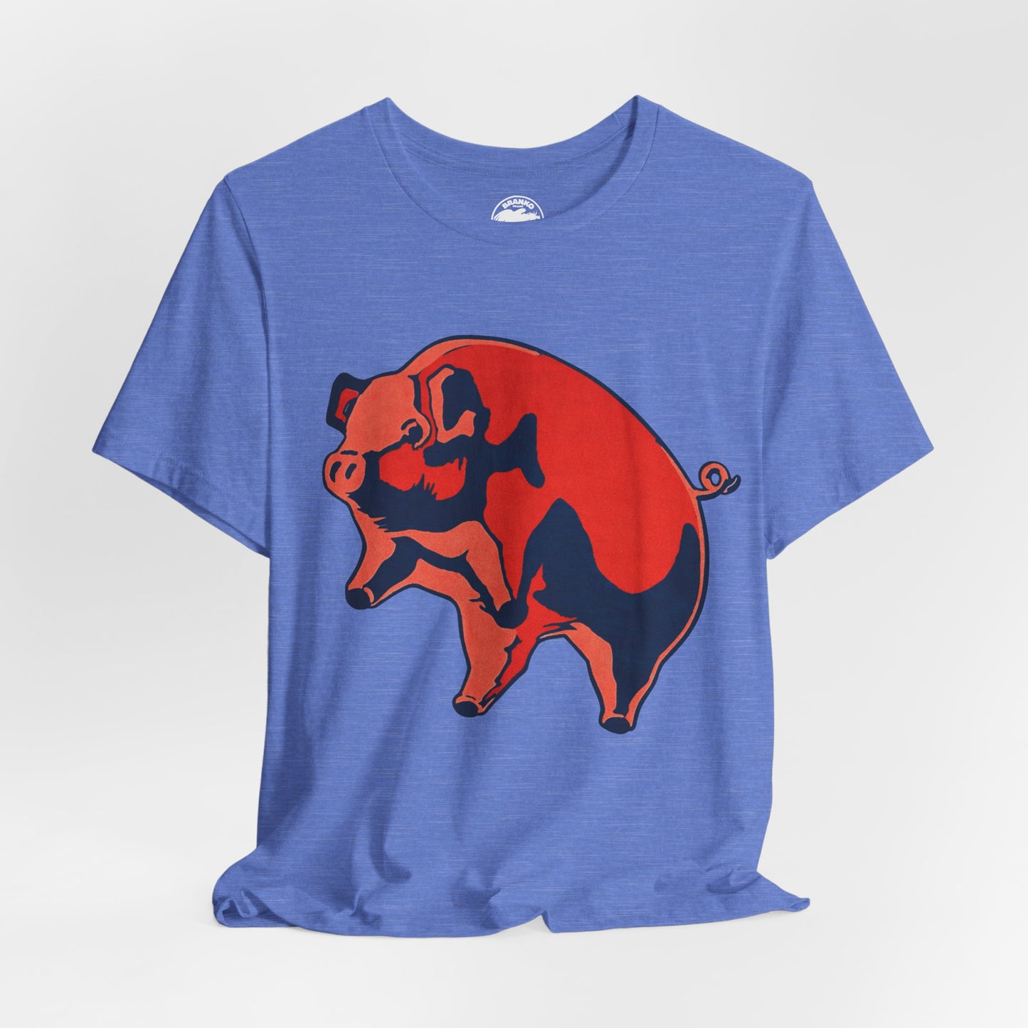 Pink Floyd (Oversized Animals Pig with Vintage Print Effect)