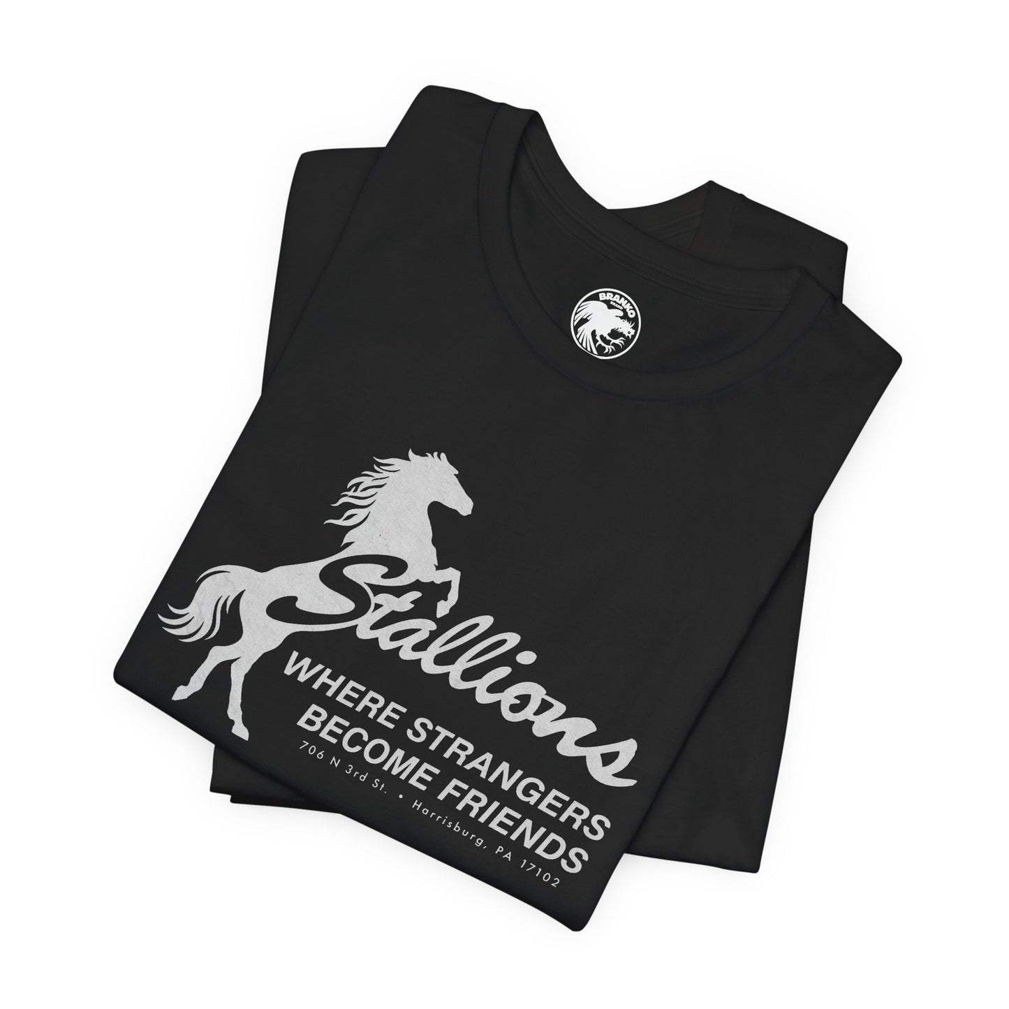 Stallions (Iconic Harrisburg Gay Bar/1985-2023)