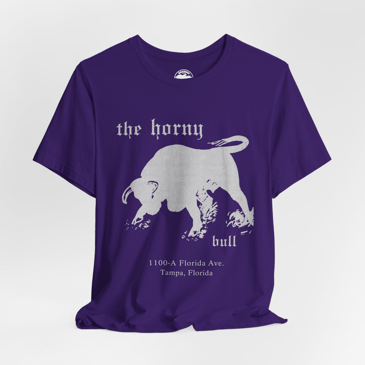 The Horny Bull (Tampa Gay Bar/70's and 80's)