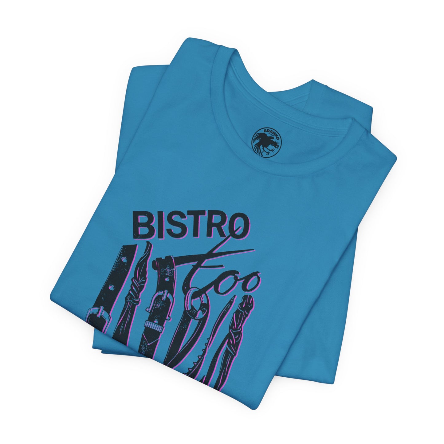 Bistro Too (Chicago Gay Club/80's and 90's)