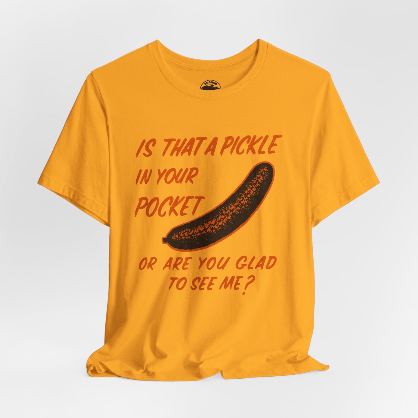 Is That a Pickle in Your Pocket... (Replica 70's Iron-On Transfer Graphic)