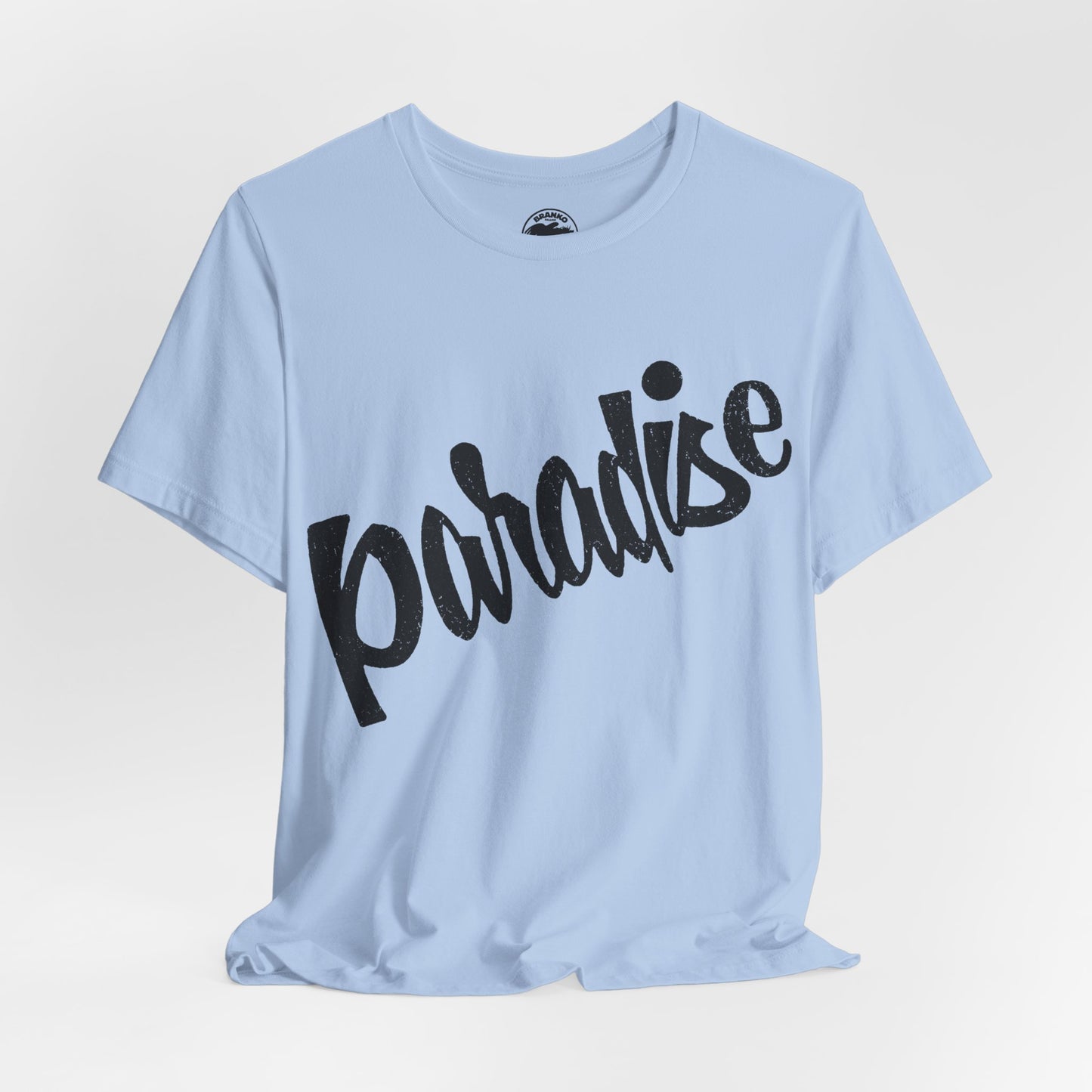 Paradise Bar (Iconic Boston/Cambridge Gay Bar/1971-2018)